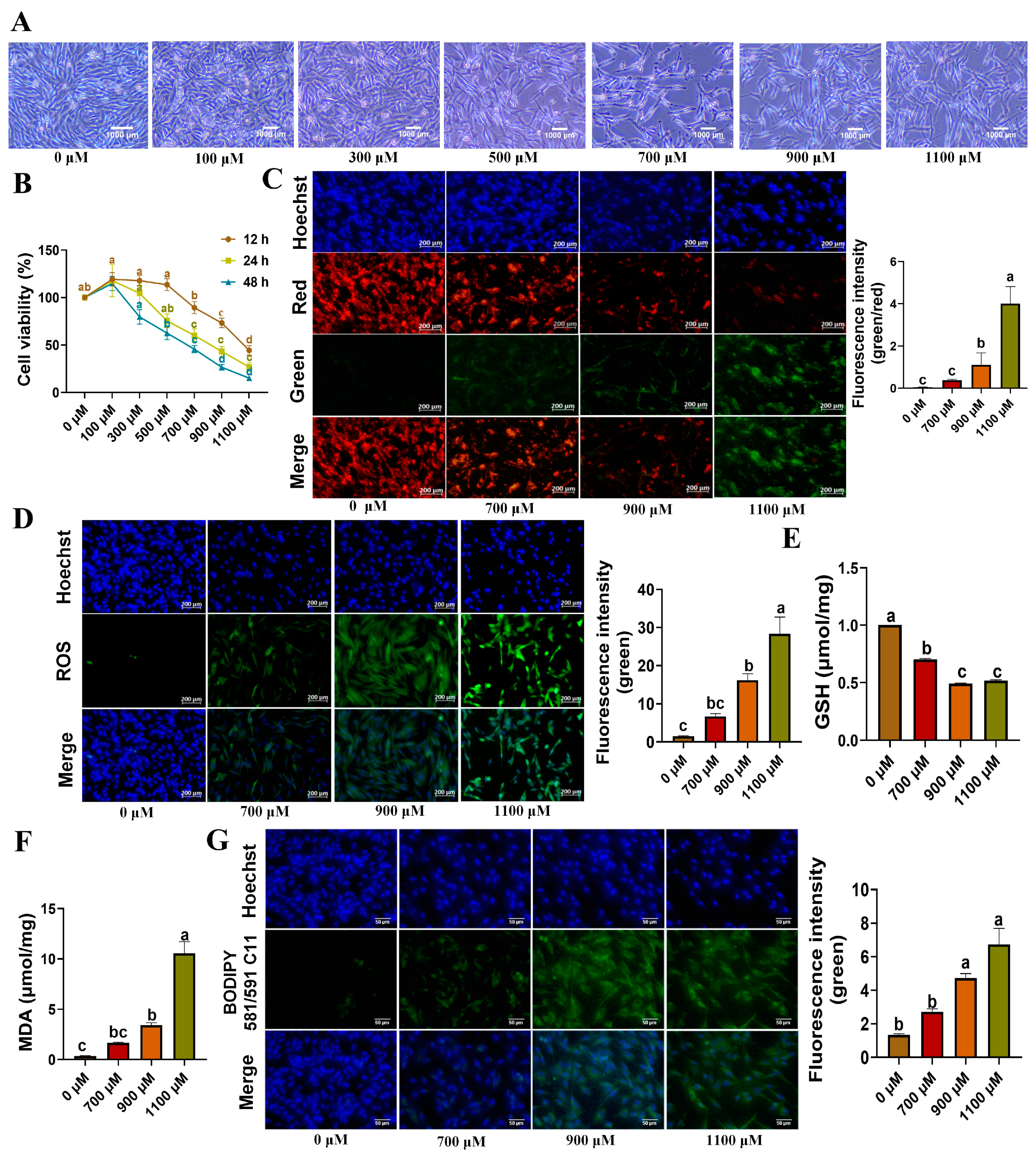 Animals 13 03832 g004