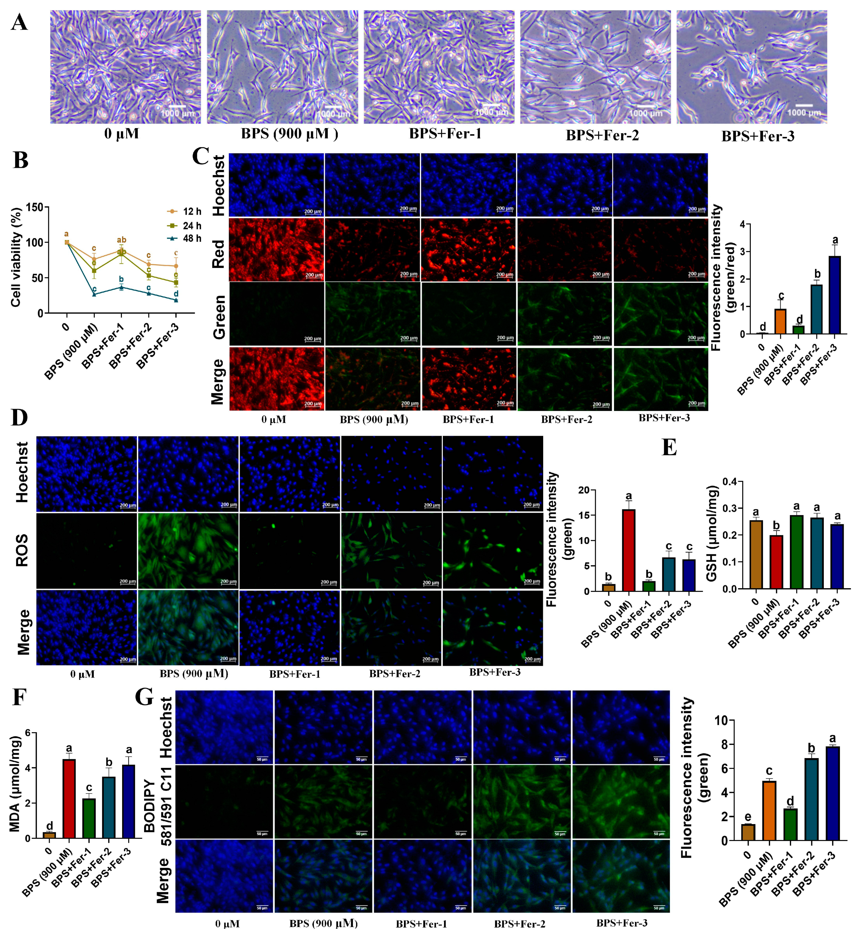 Animals 13 03832 g005