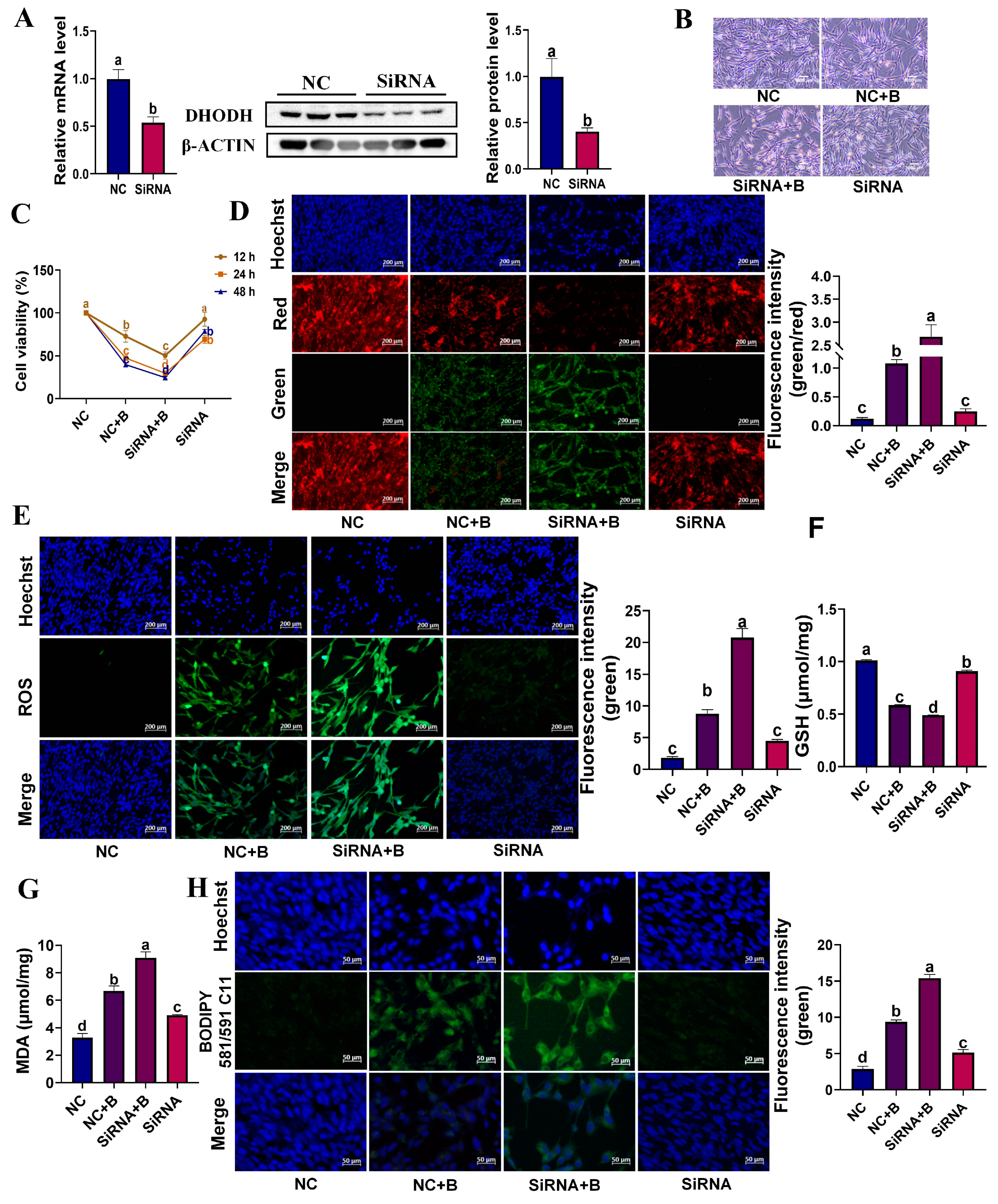 Animals 13 03832 g007