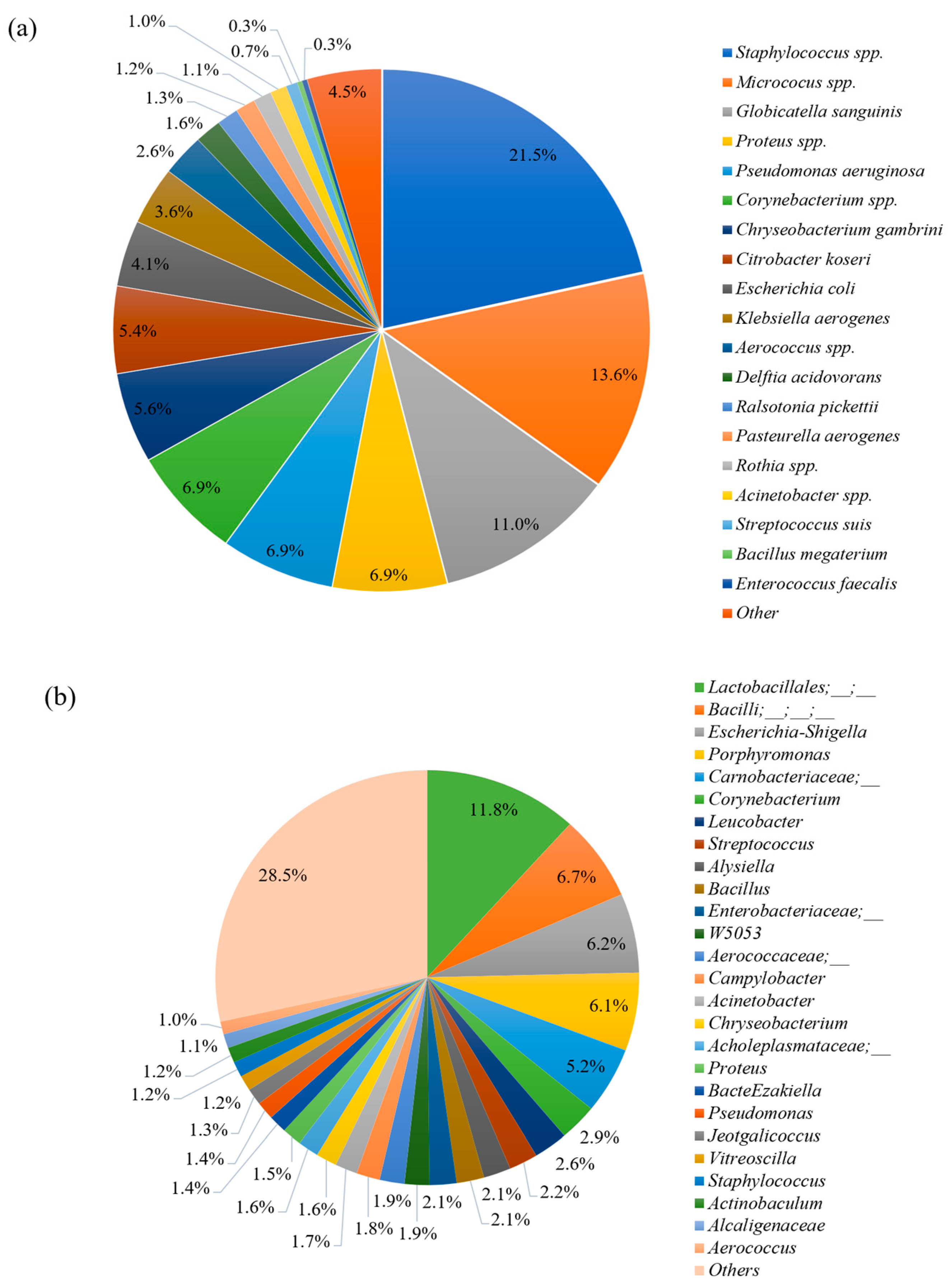 Animals 13 03837 g002