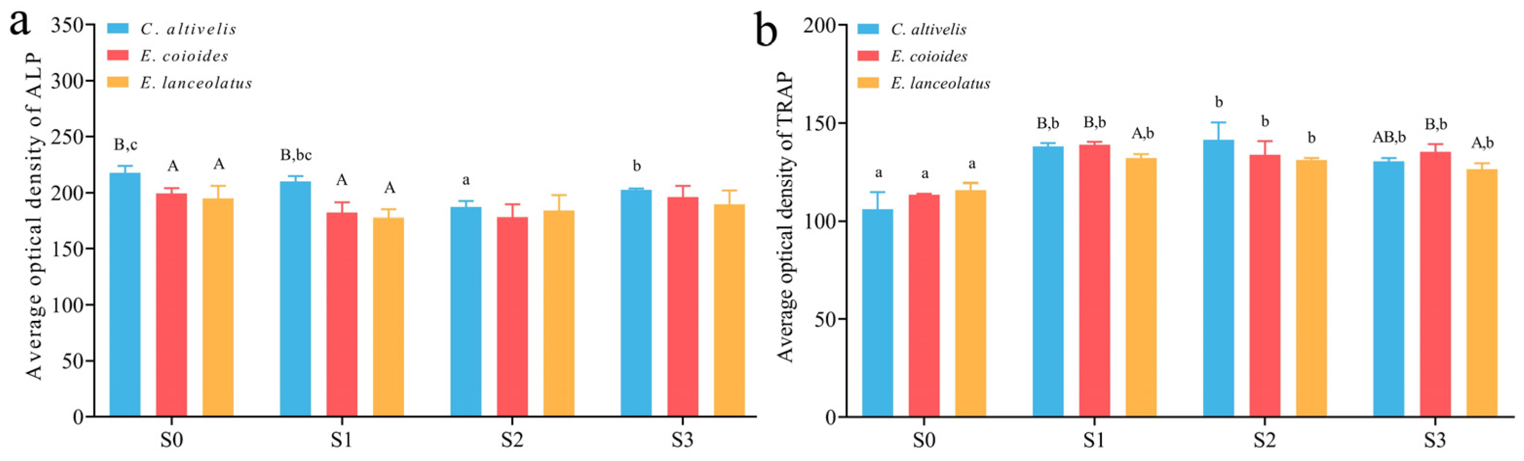 Animals 13 03840 g004