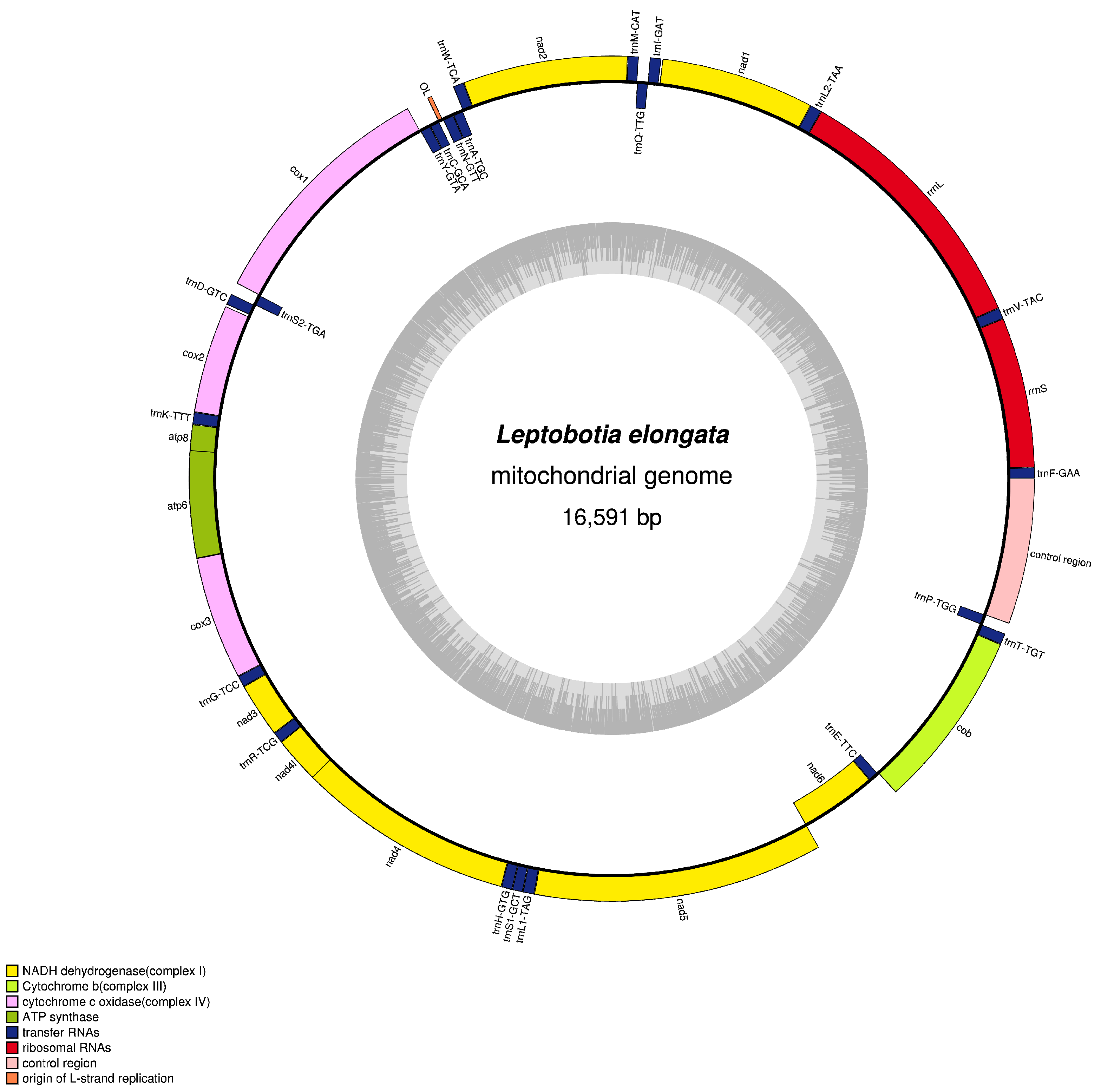 Animals 13 03841 g001