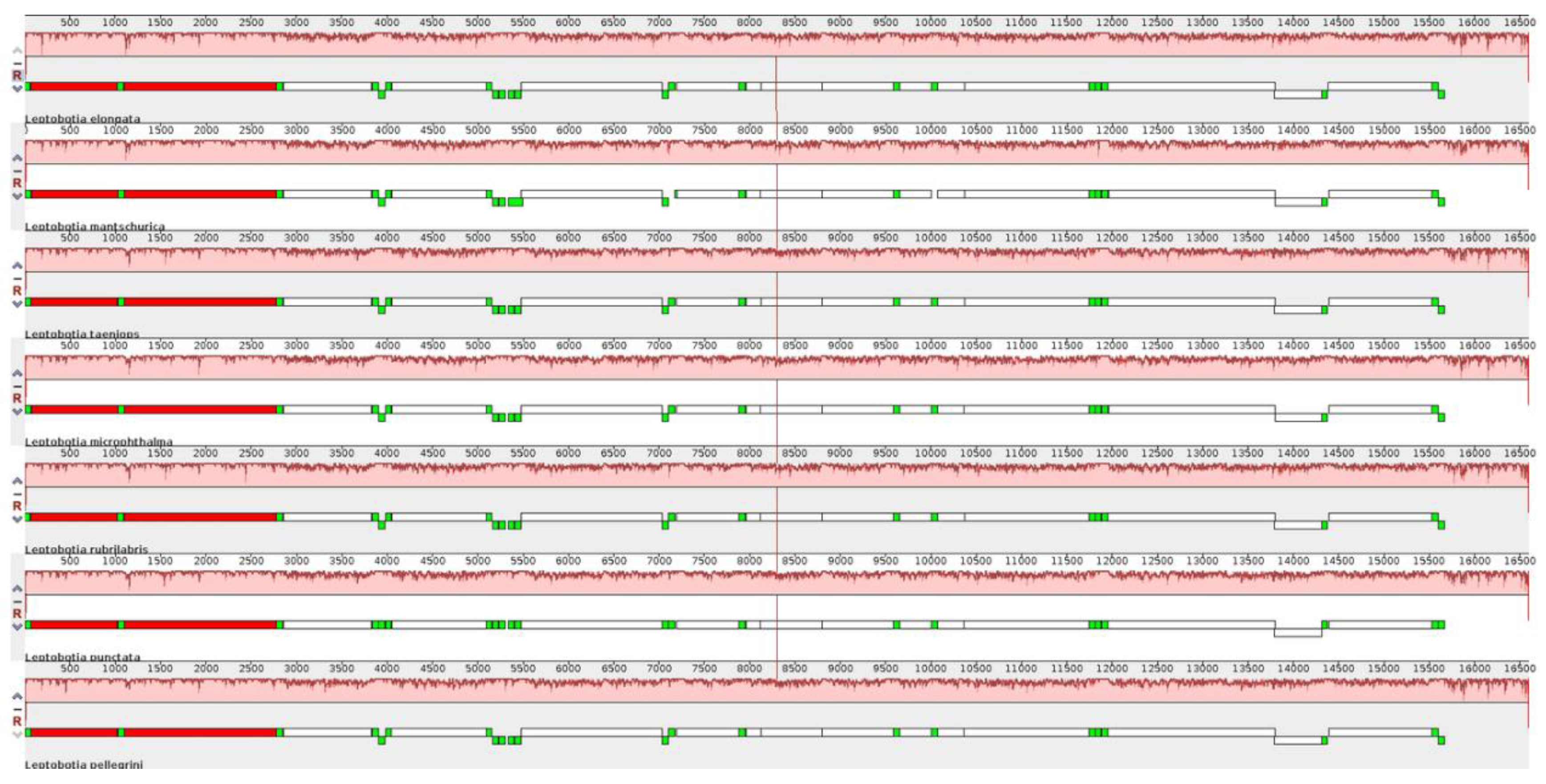 Animals 13 03841 g005