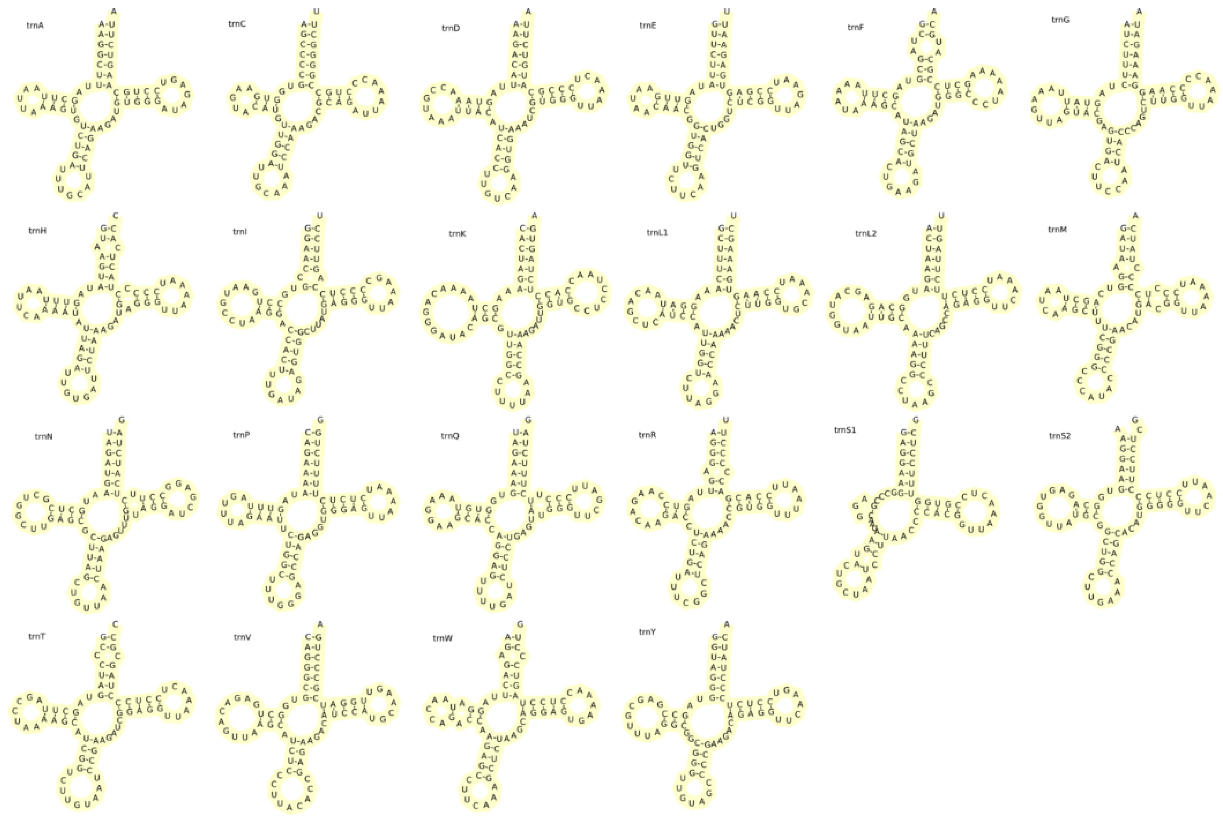 Animals 13 03841 g006