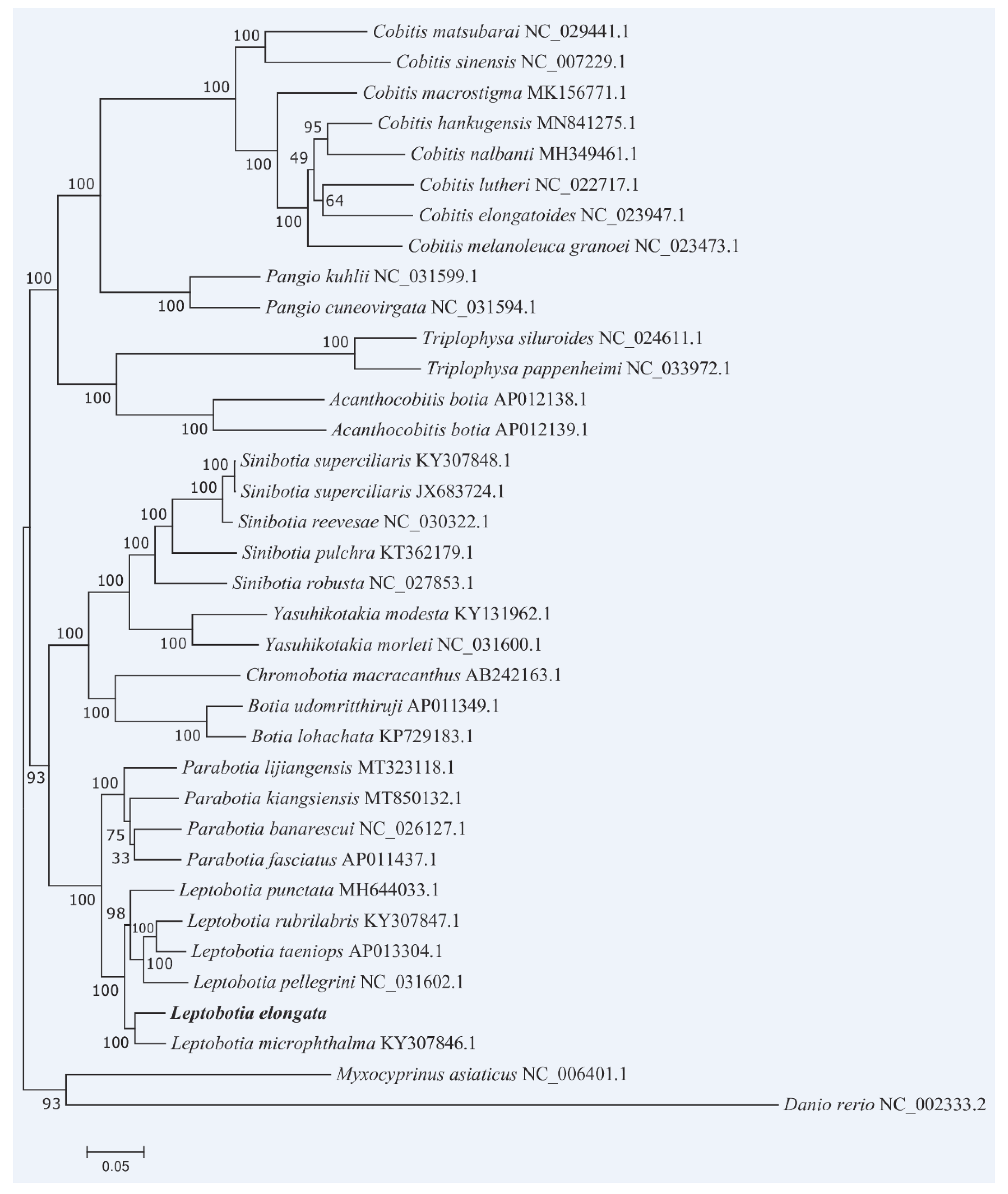 Animals 13 03841 g008
