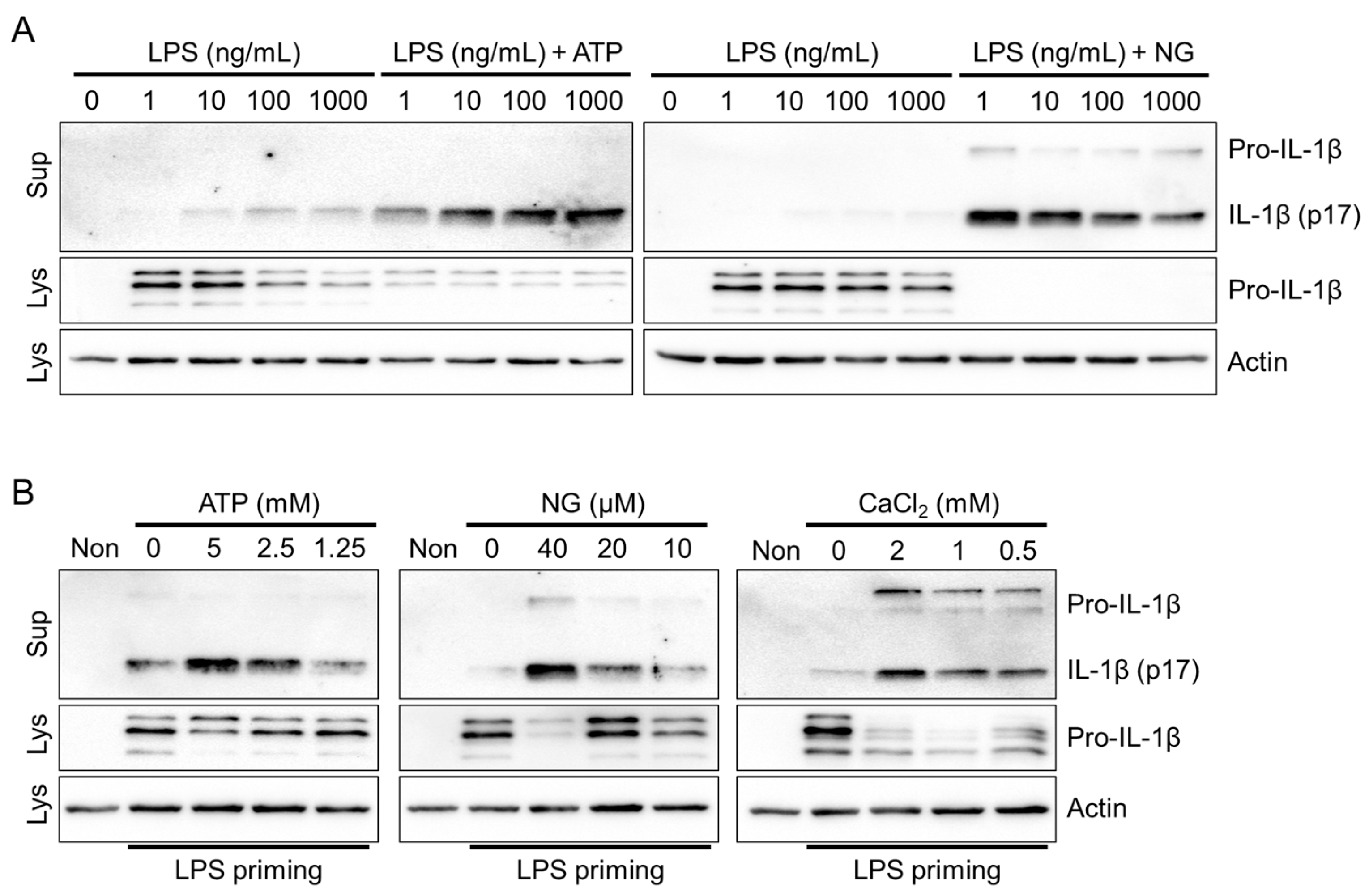 Animals 13 03842 g002