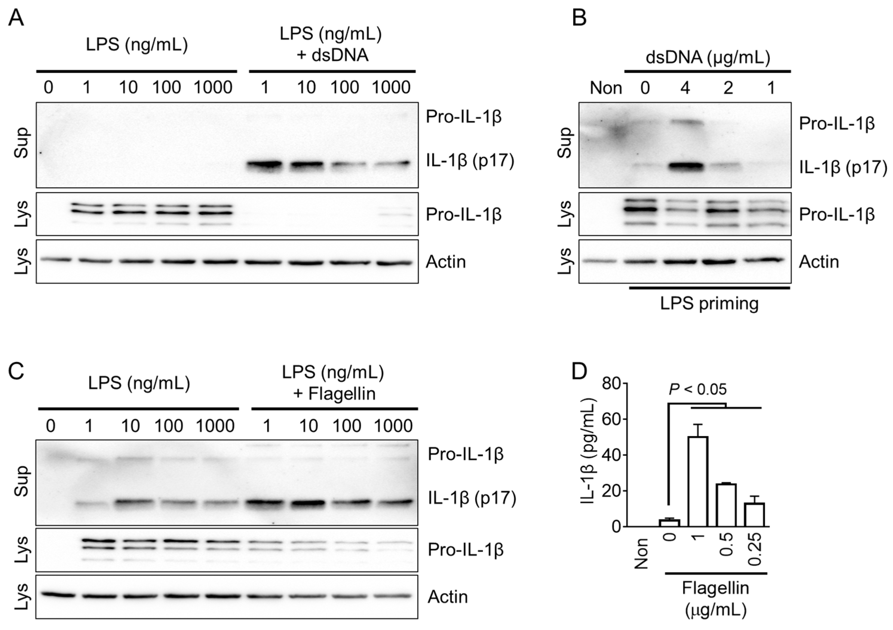 Animals 13 03842 g003