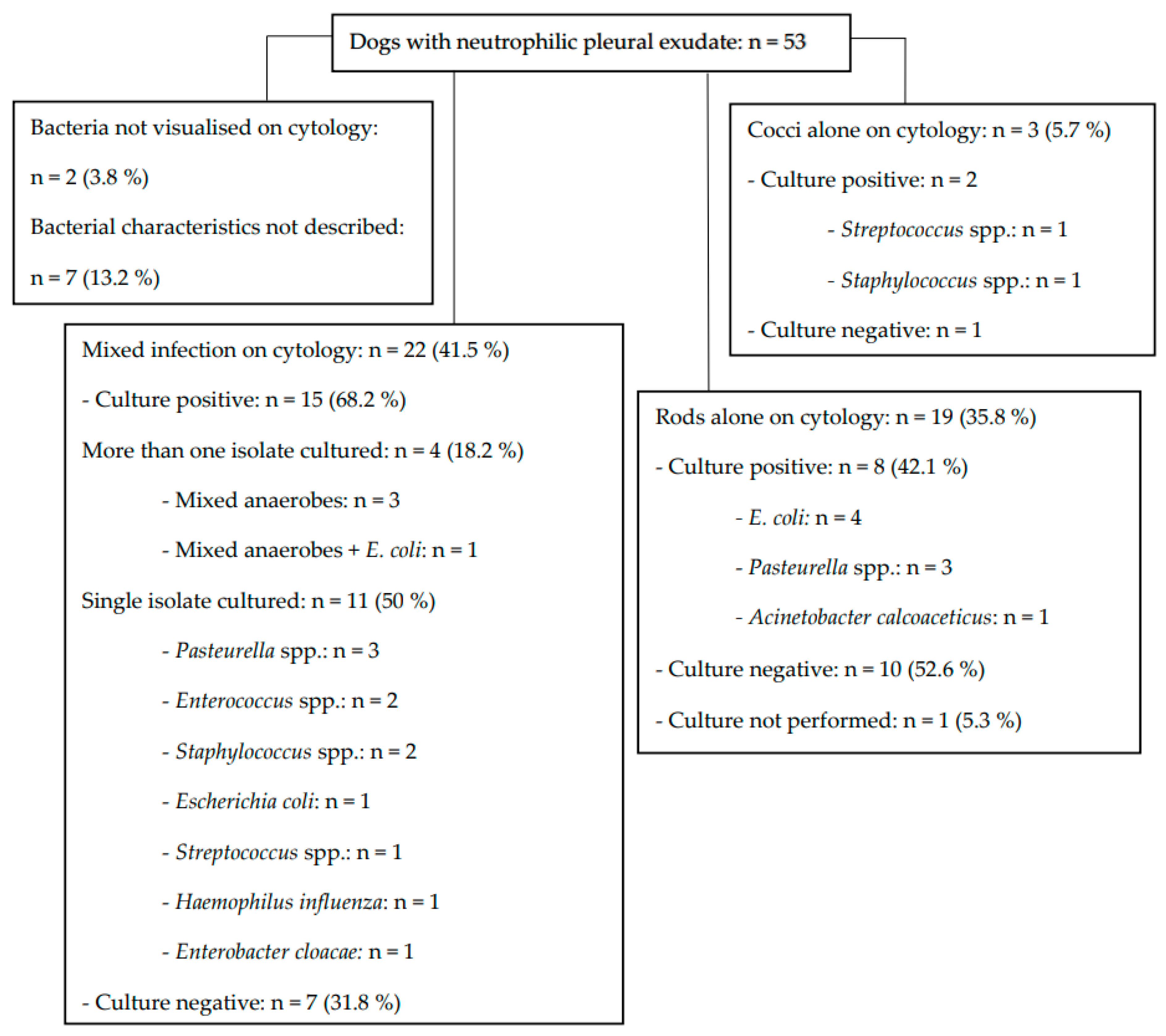 Animals 13 03843 g001