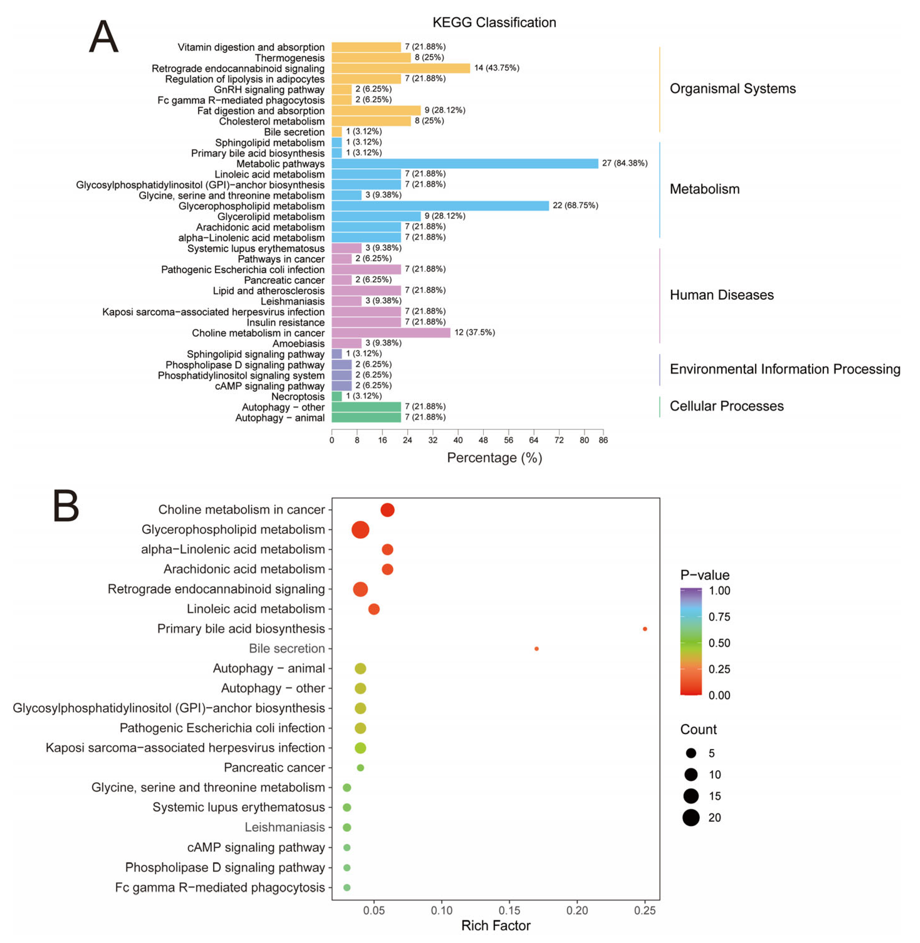 Animals 13 03848 g004 Animals 13 03848 g004