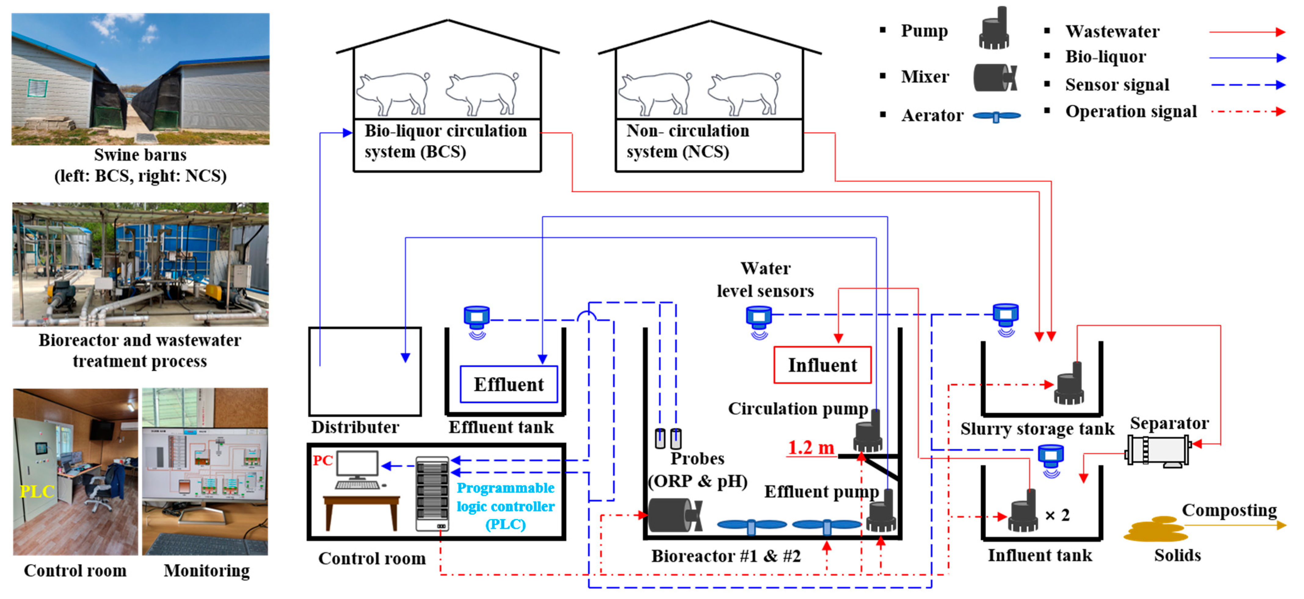 Animals 13 03849 g001