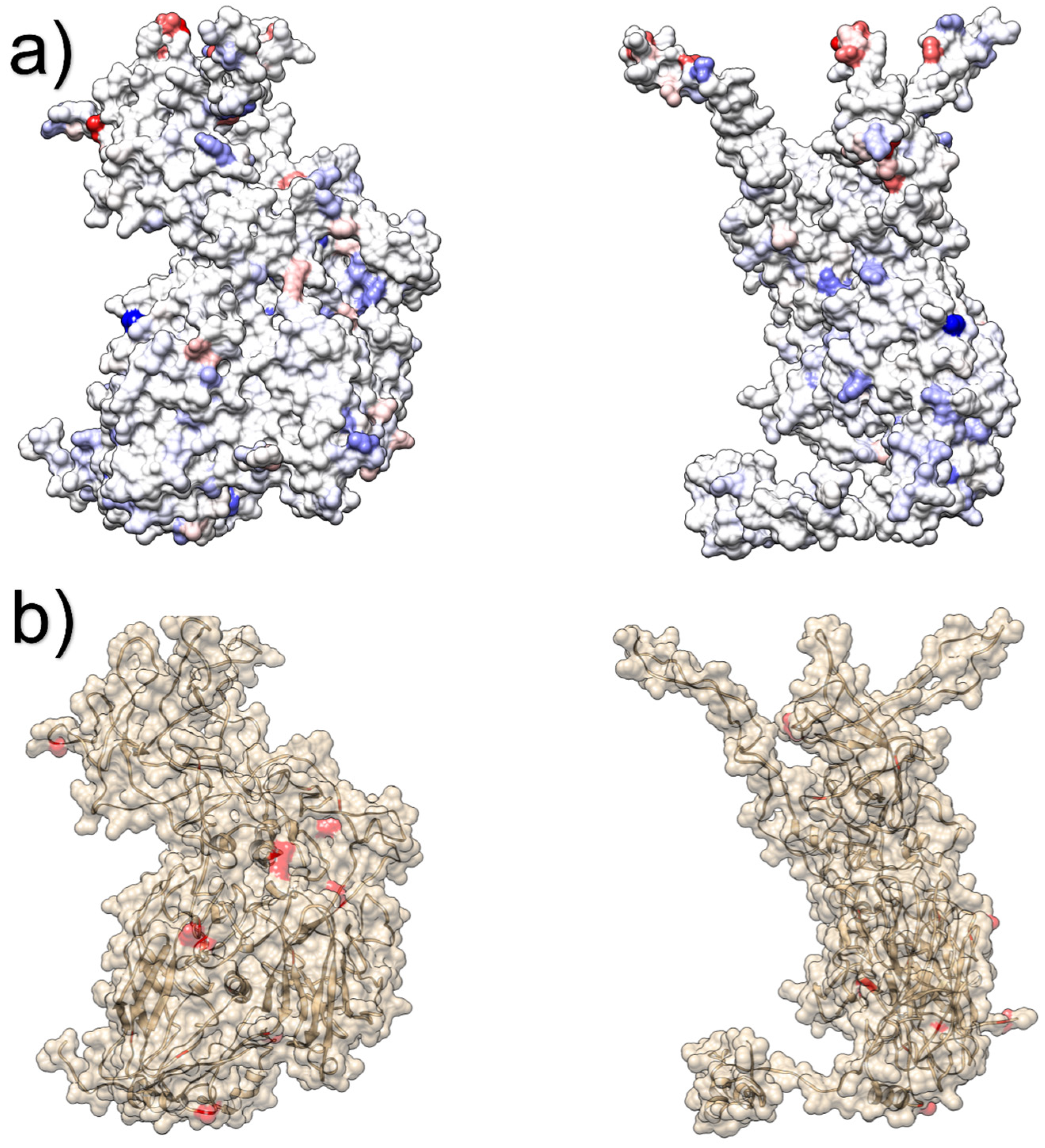 Animals 13 03851 g005