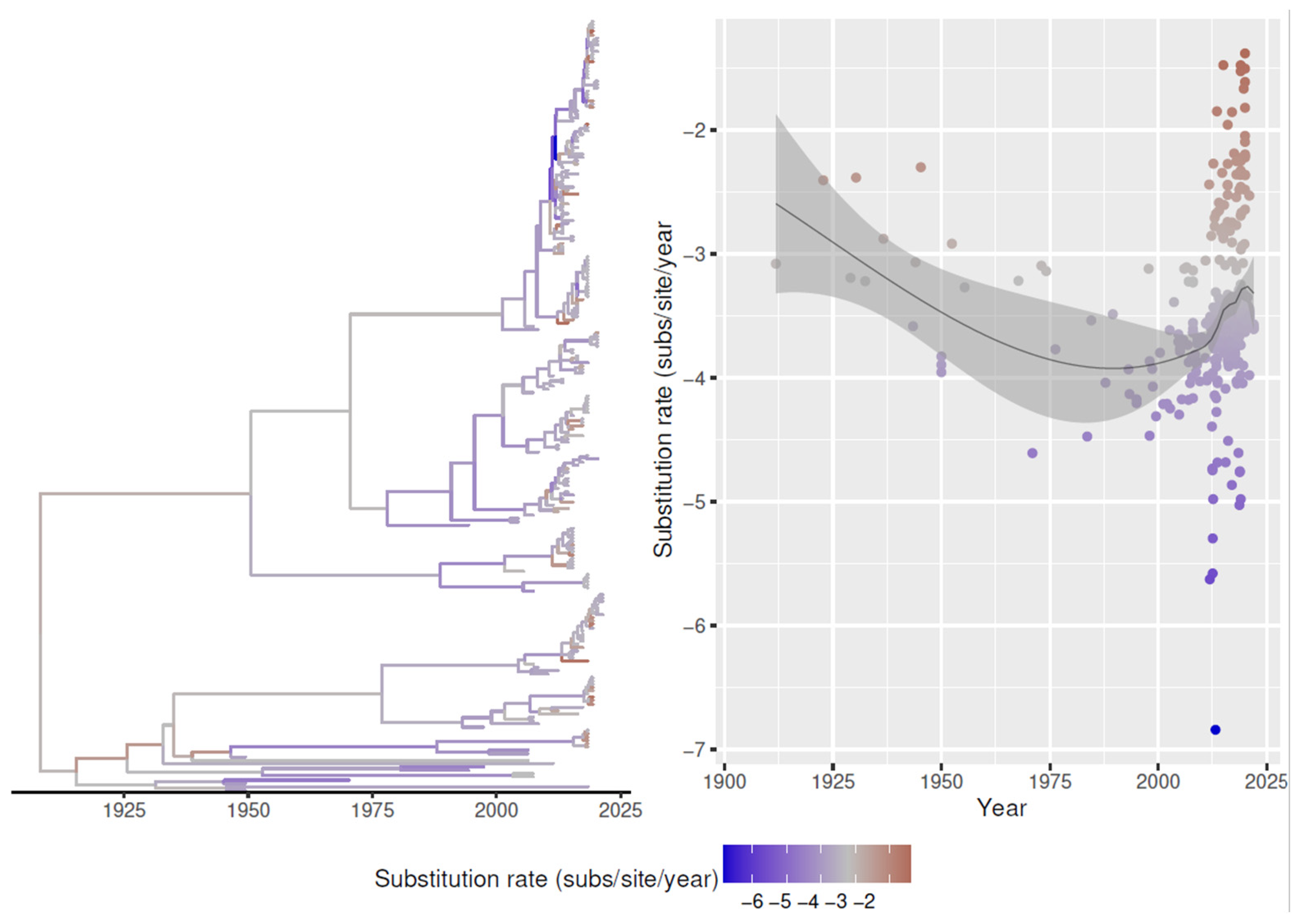 Animals 13 03851 g006