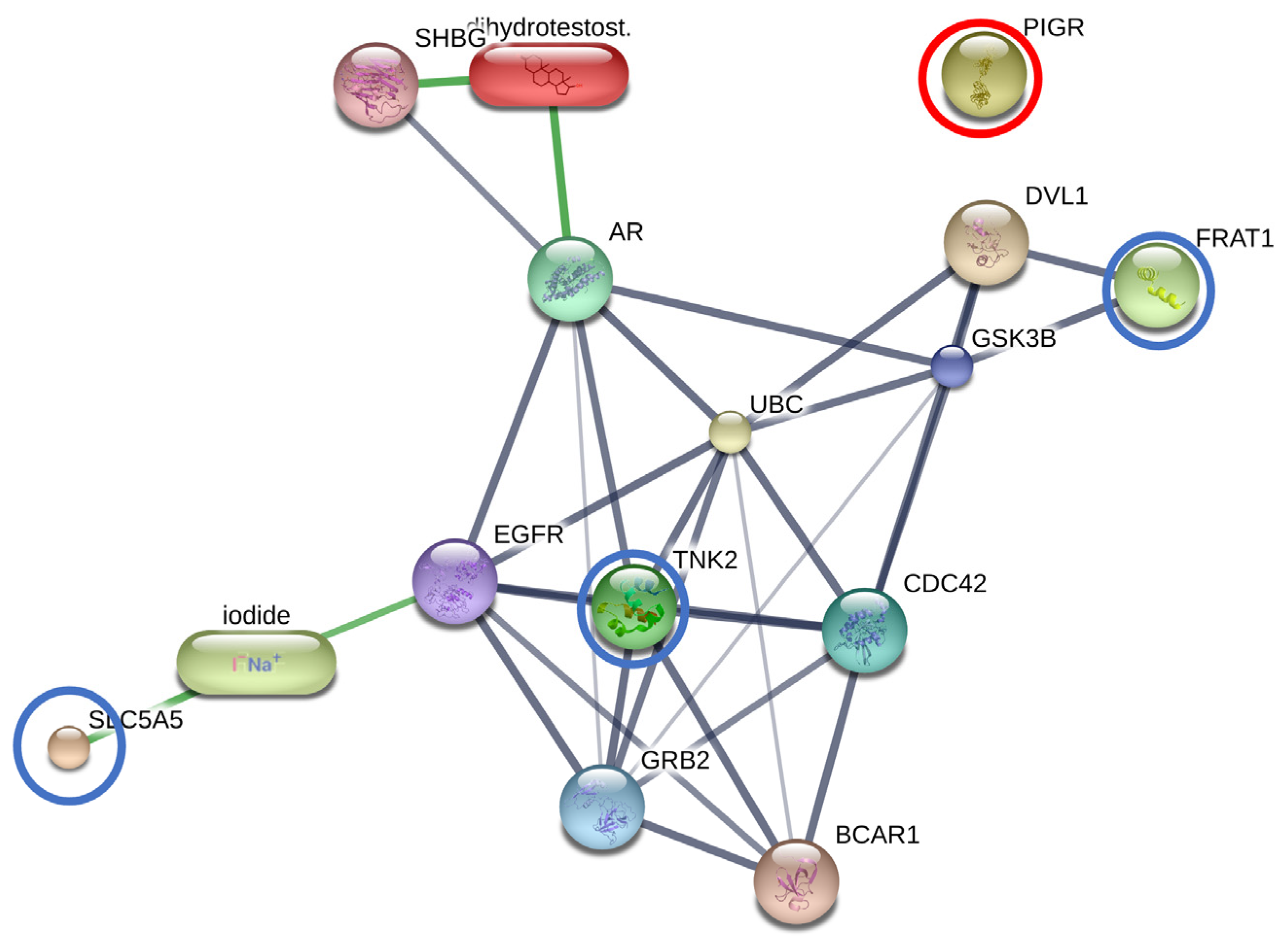 Animals 13 03853 g003 Animals 13 03853 g003