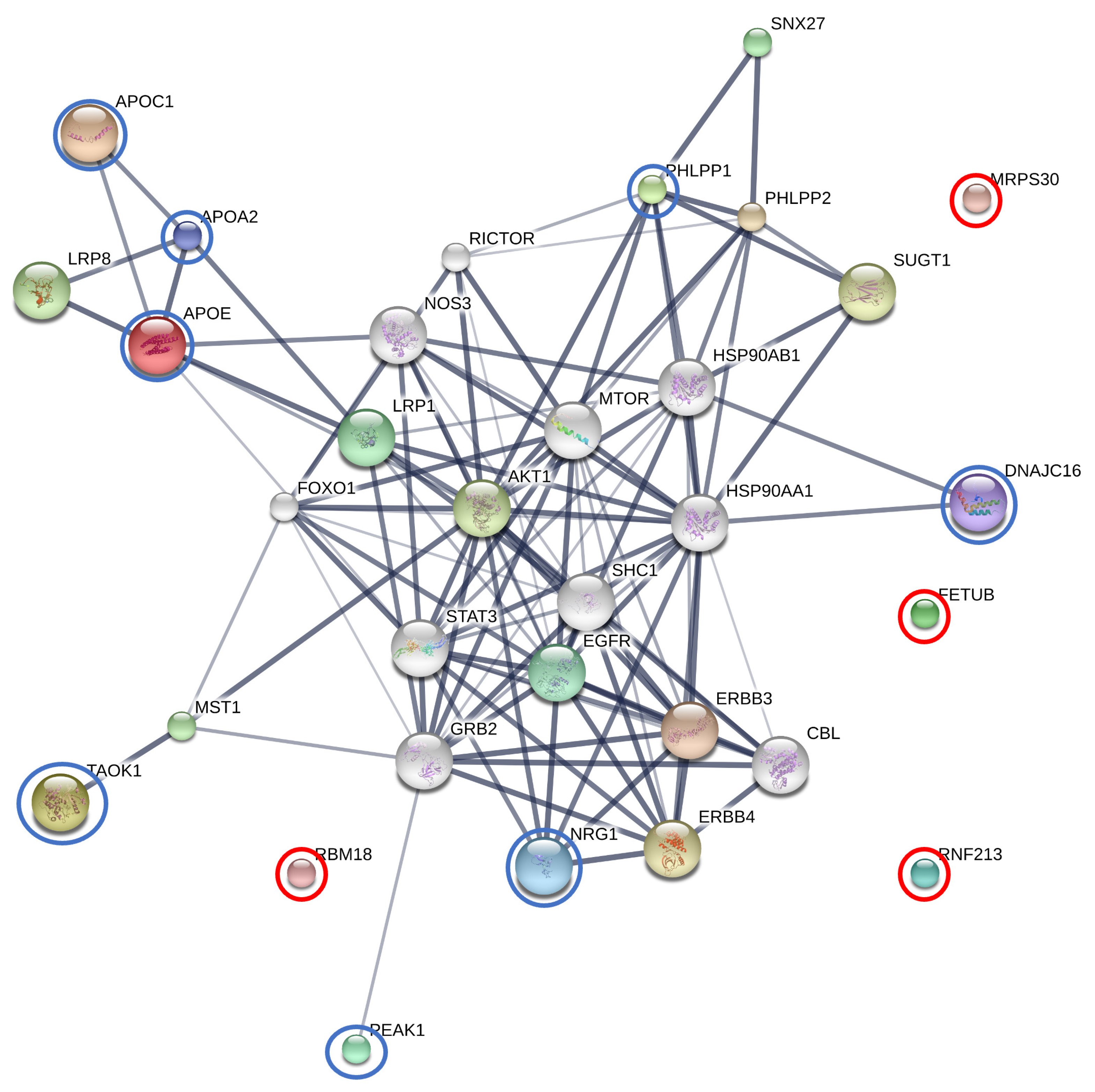 Animals 13 03853 g004 Animals 13 03853 g004