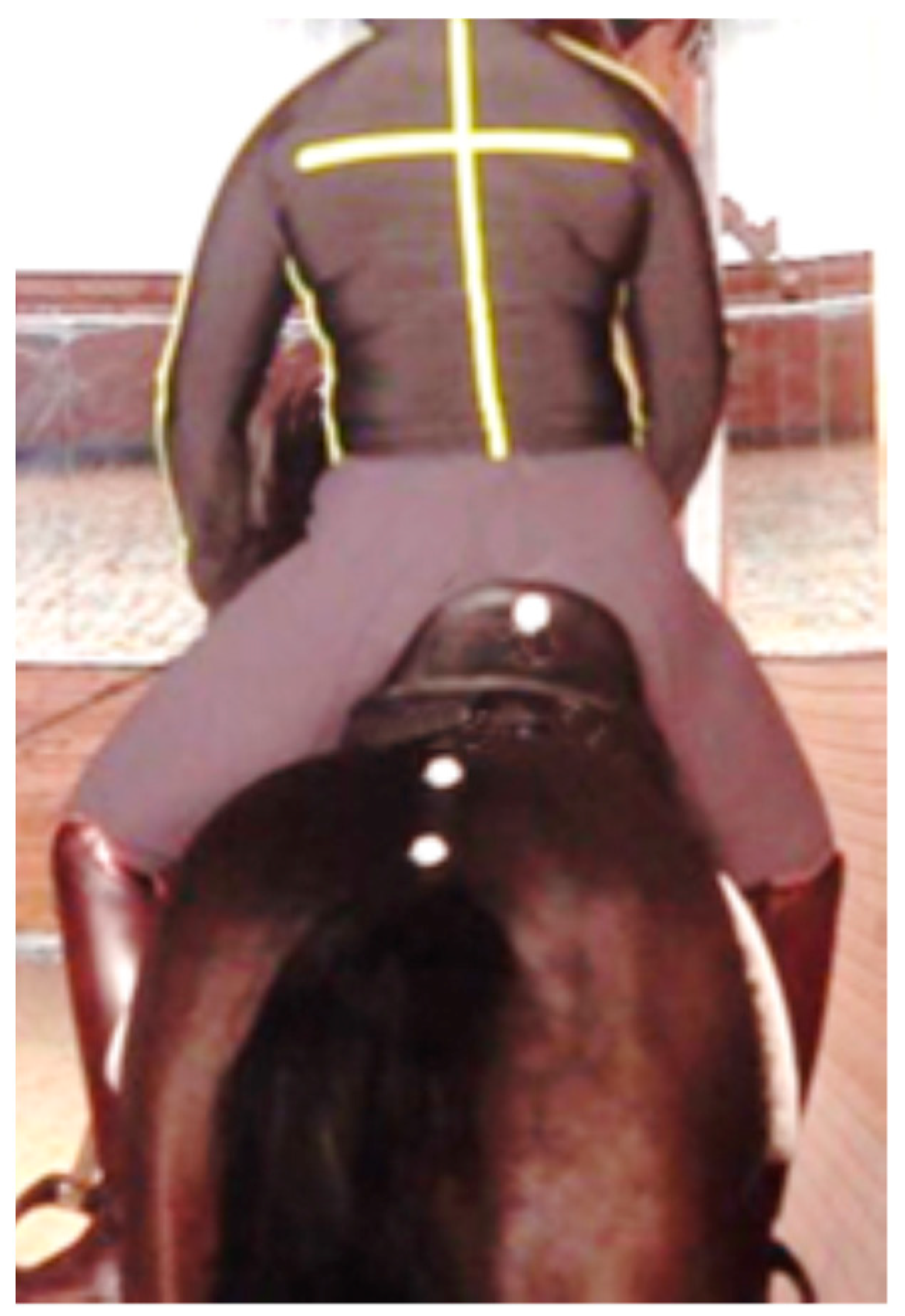 Animals 13 03854 g002 Animals 13 03854 g002