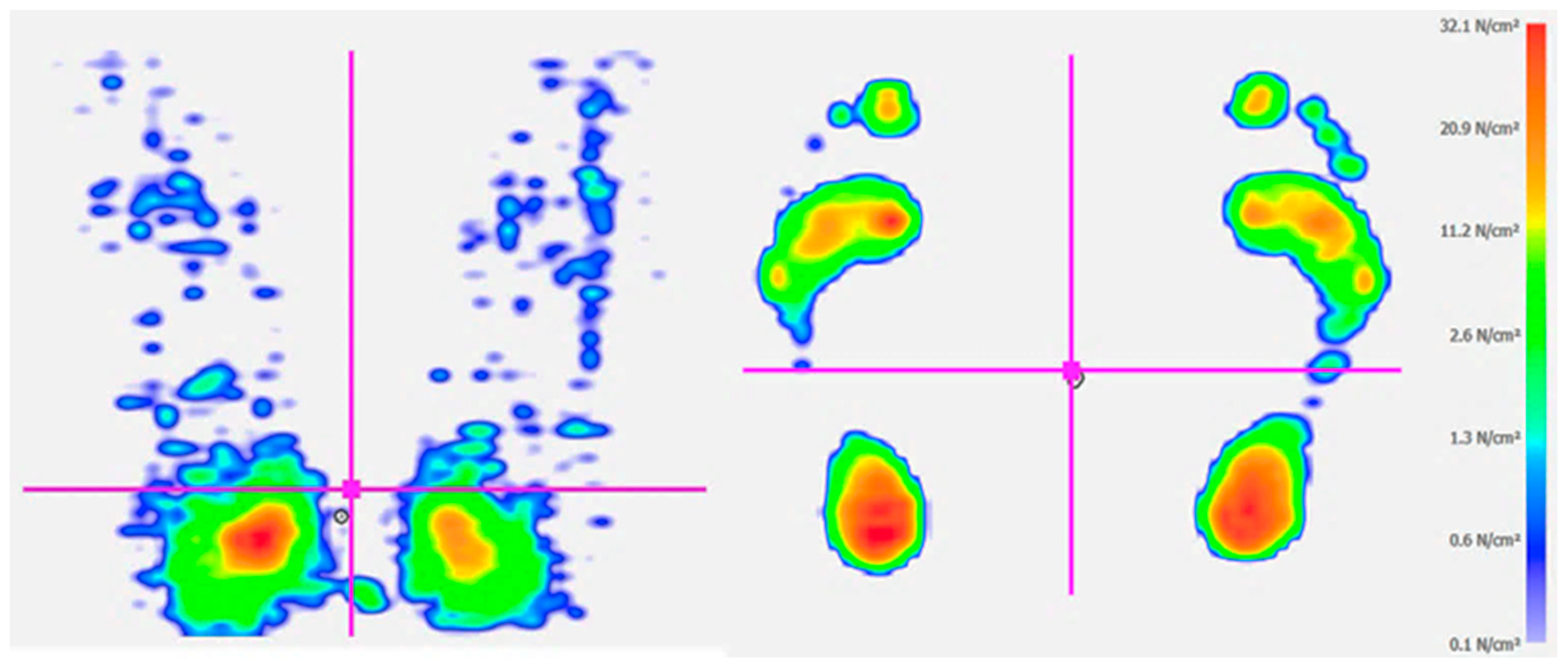 Animals 13 03854 g003 Animals 13 03854 g003