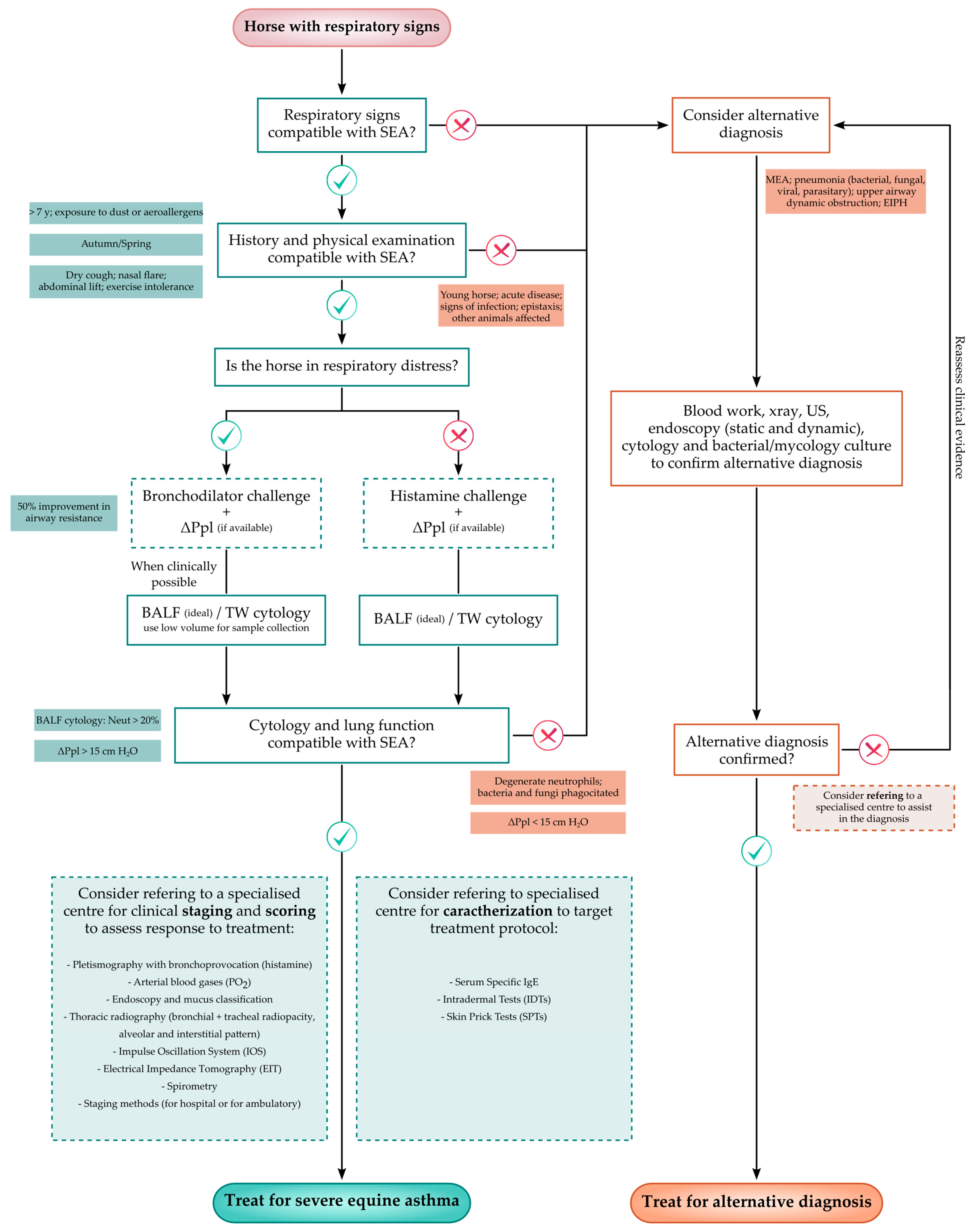 Animals 13 03872 g001 Animals 13 03872 g001