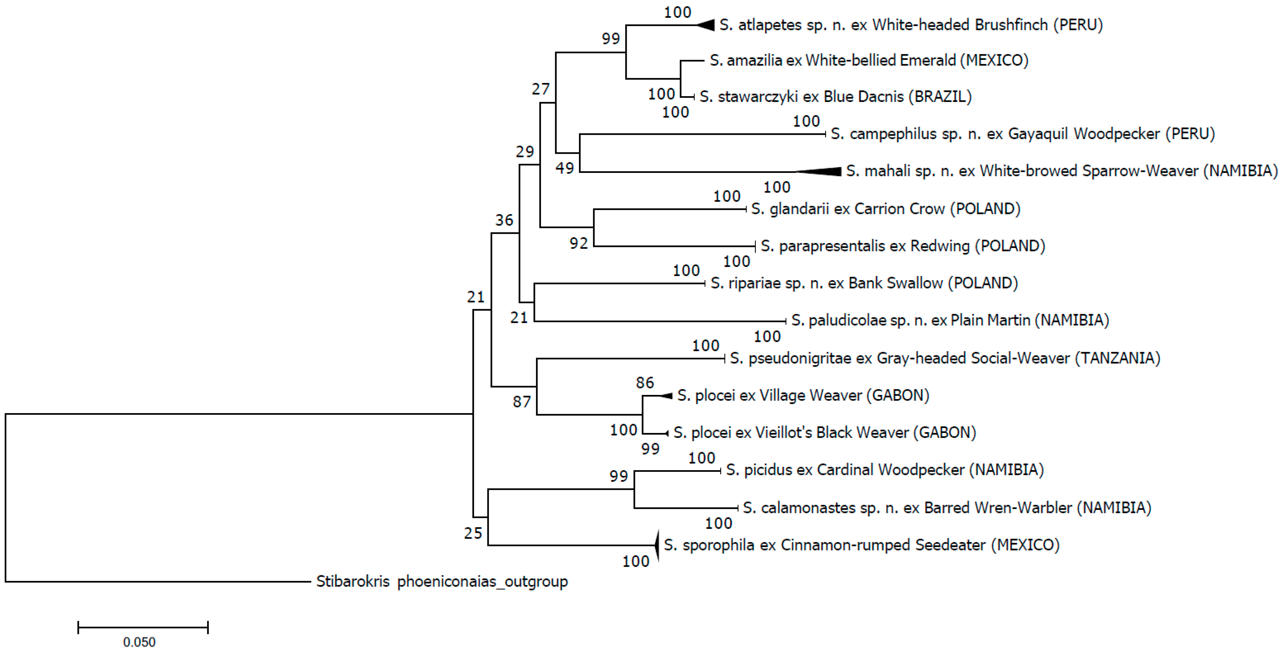 Animals 13 03877 g001 Animals 13 03877 g001