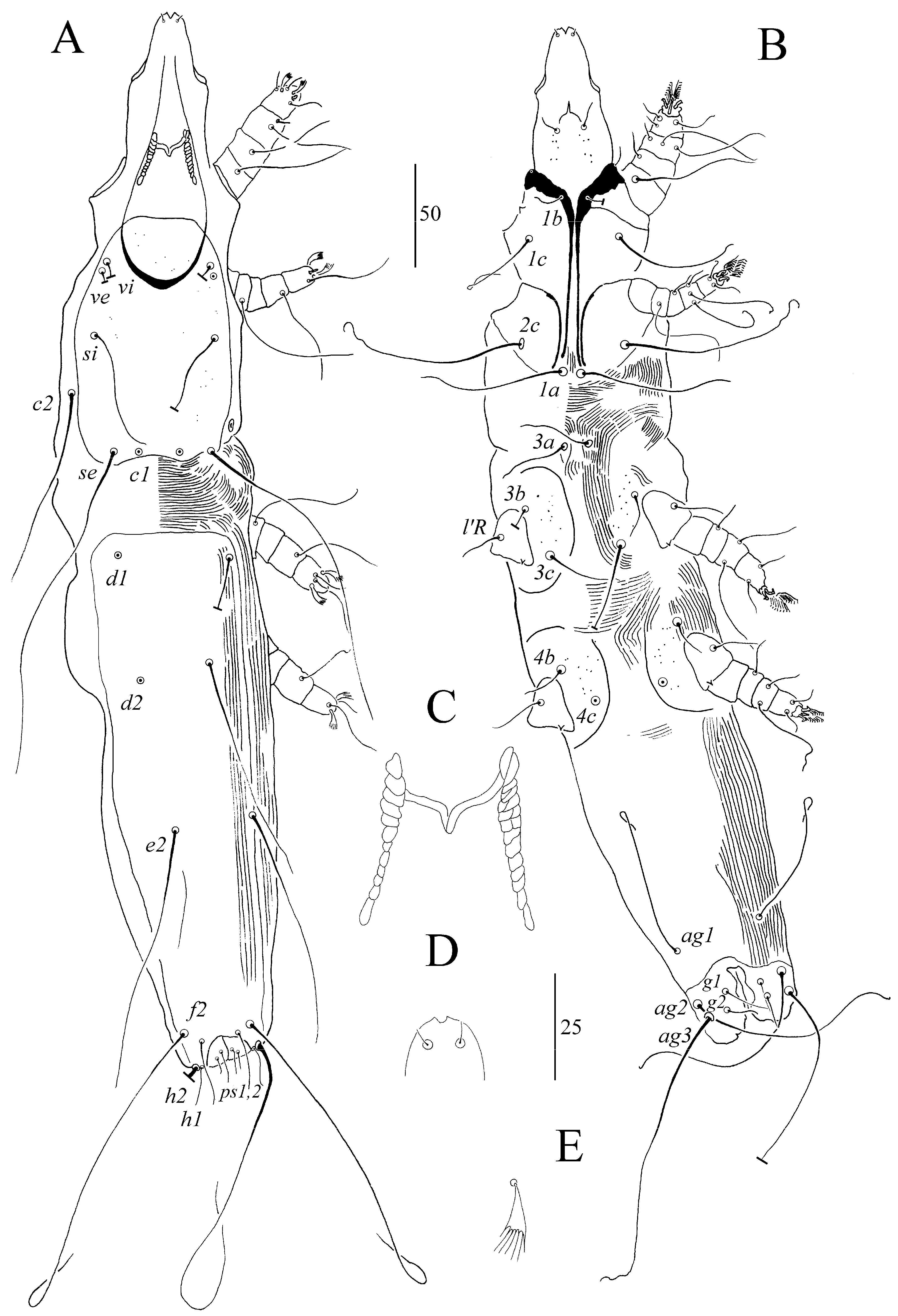 Animals 13 03877 g002 Animals 13 03877 g002