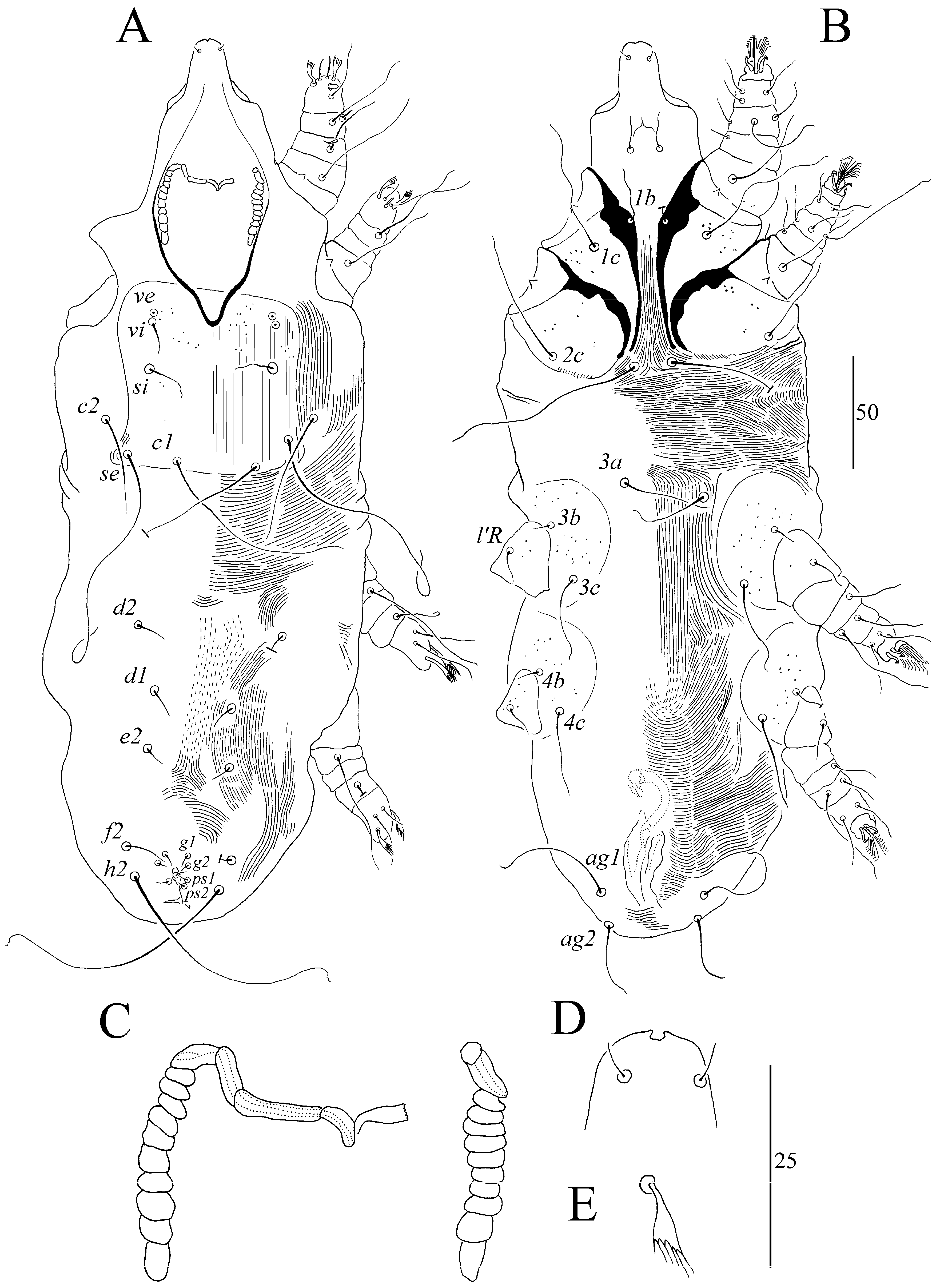 Animals 13 03877 g003 Animals 13 03877 g003