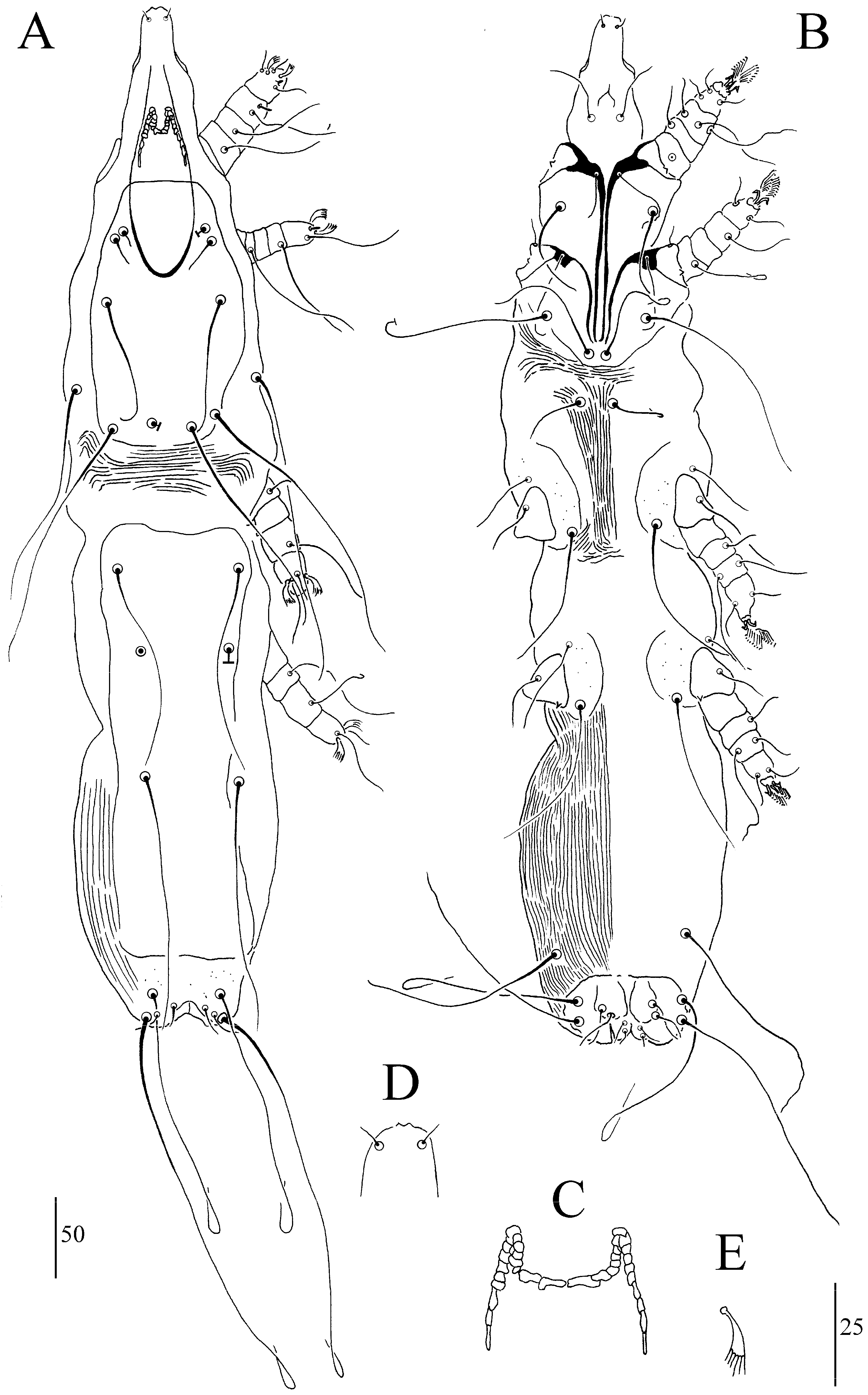 Animals 13 03877 g004 Animals 13 03877 g004