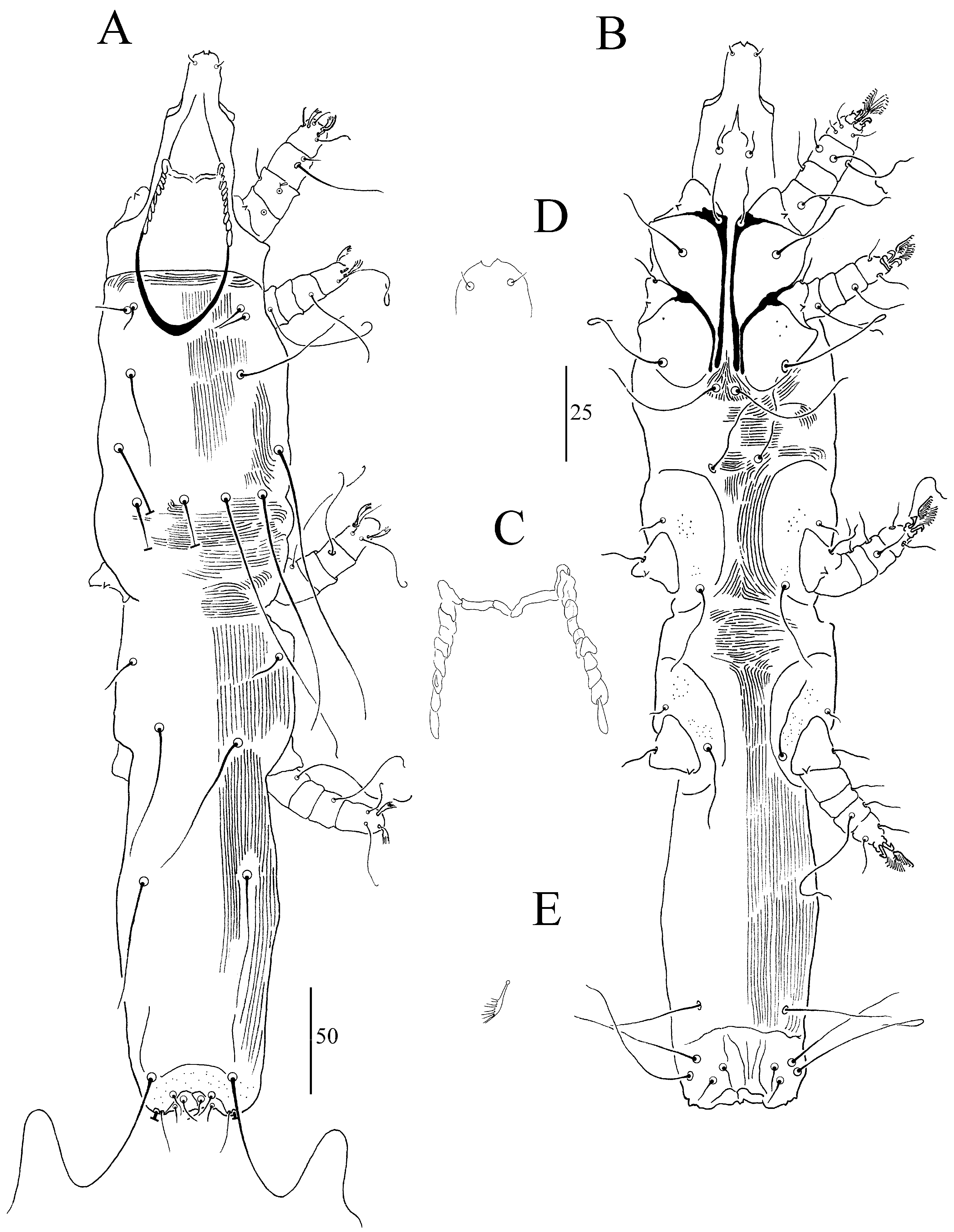 Animals 13 03877 g005 Animals 13 03877 g005