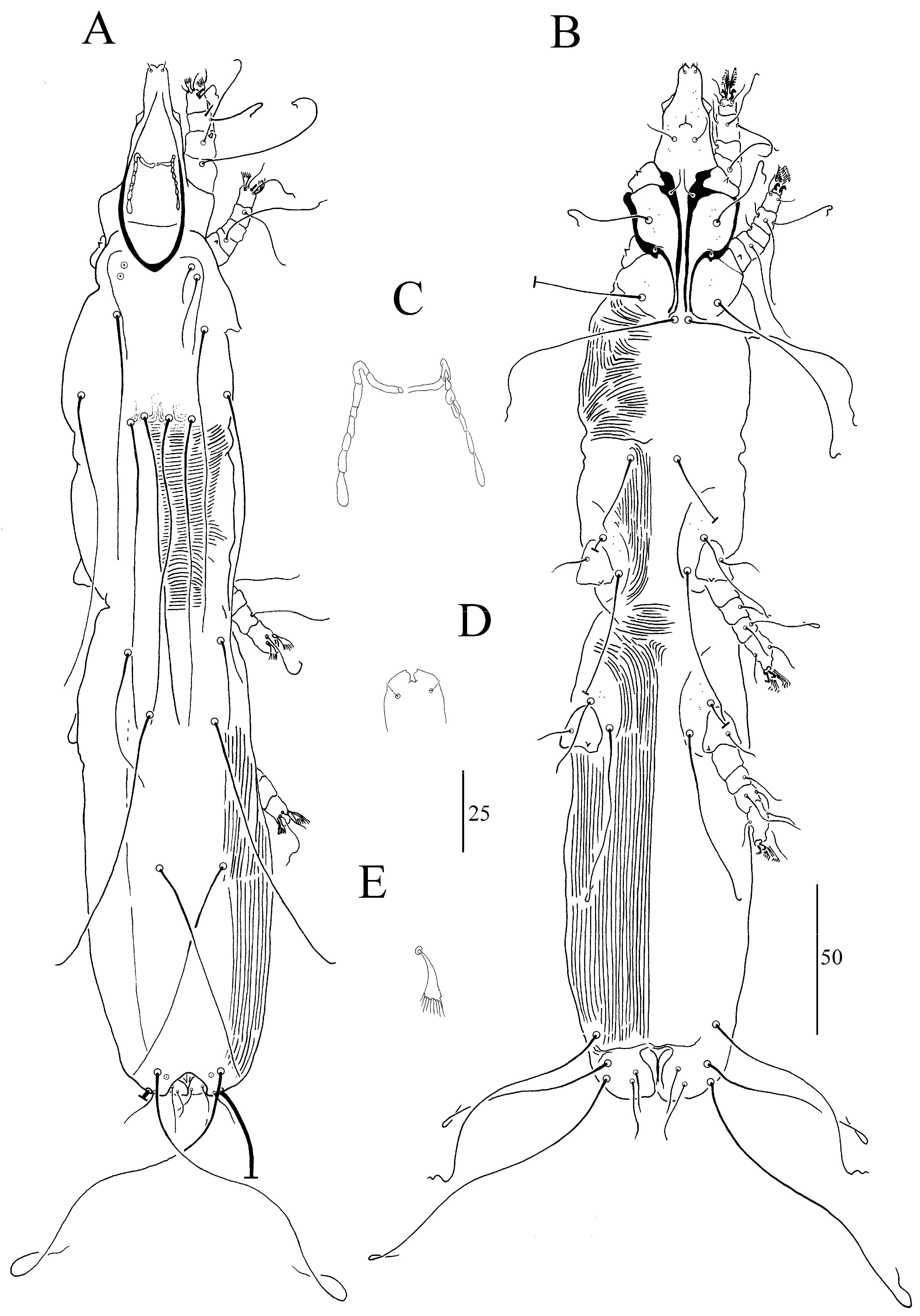 Animals 13 03877 g007 Animals 13 03877 g007