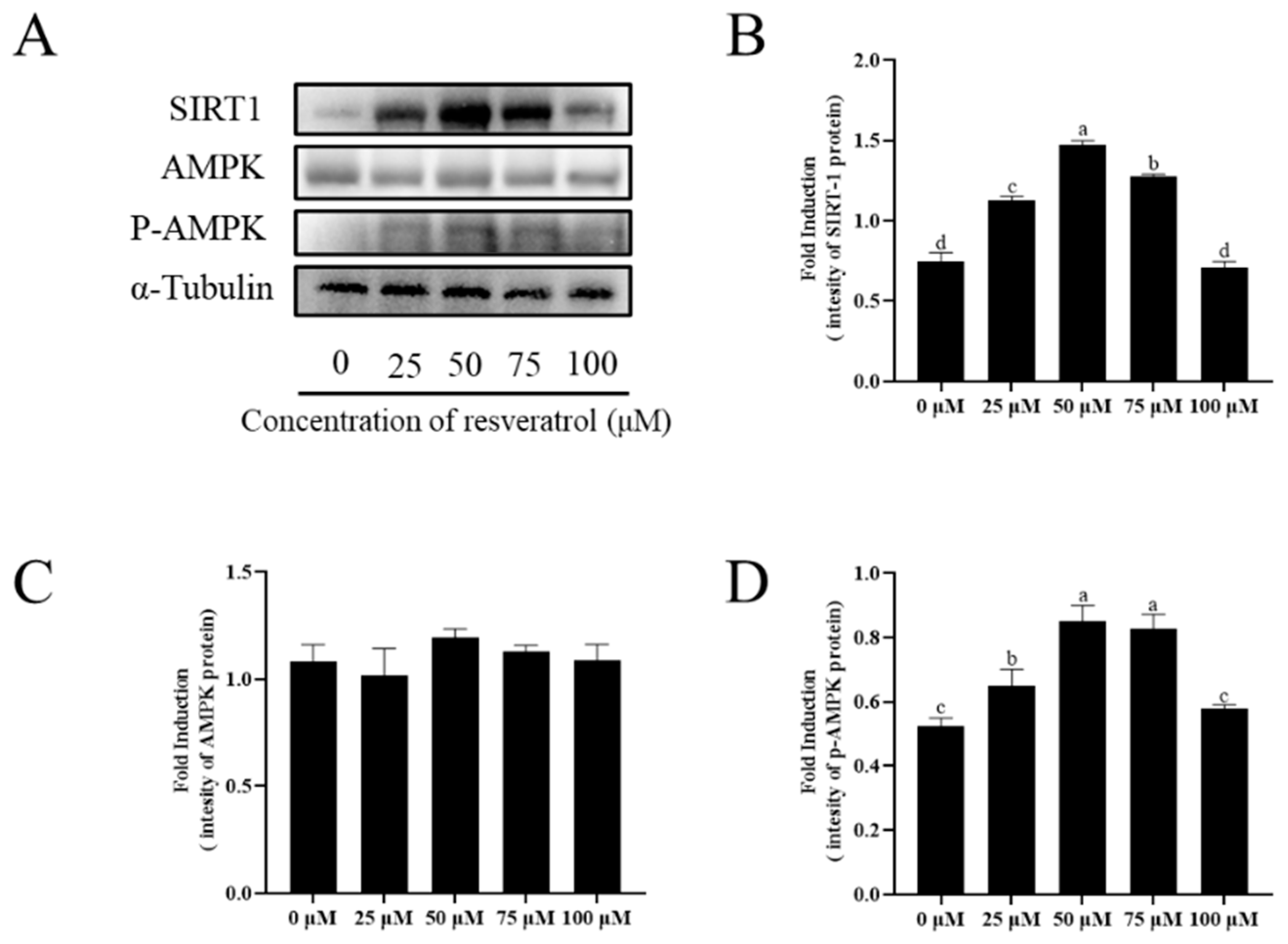 Animals 13 03887 g008