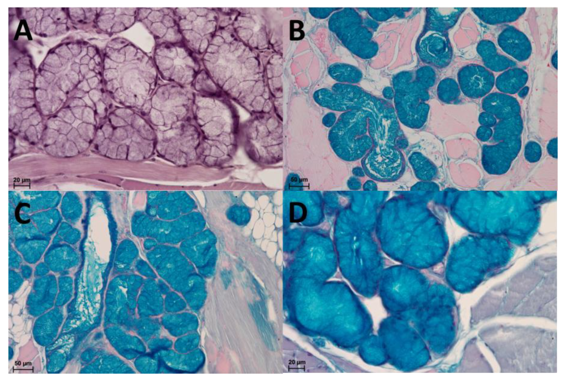 Animals 13 03889 g008