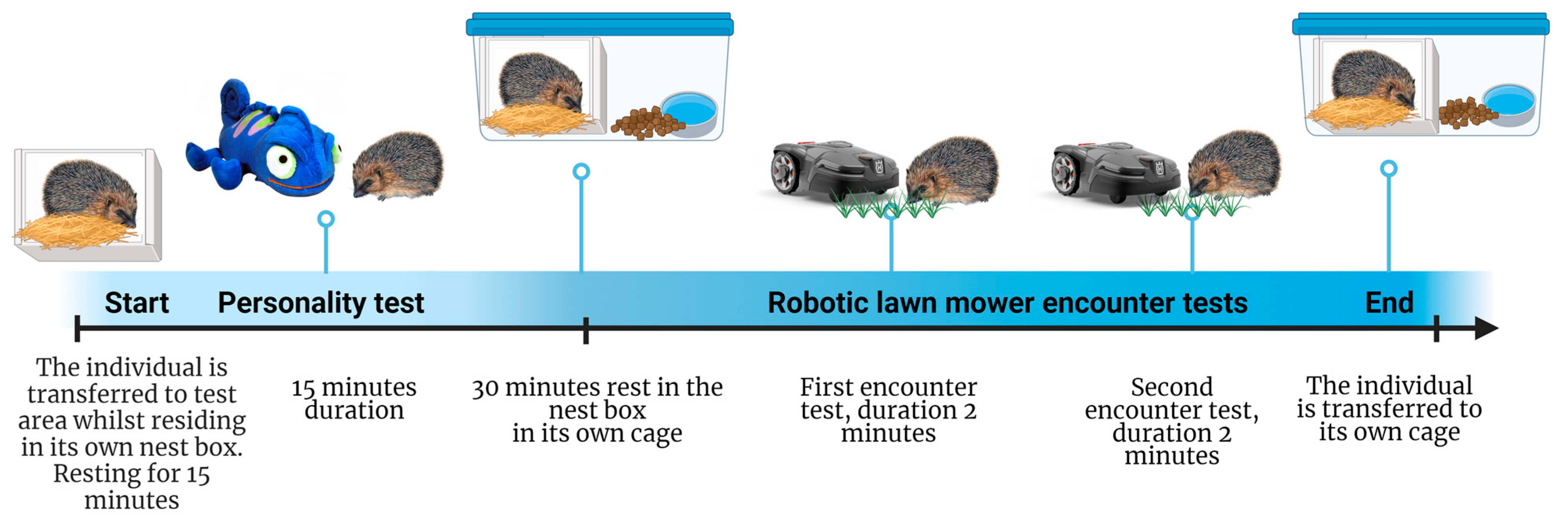 Animals 14 00002 g001