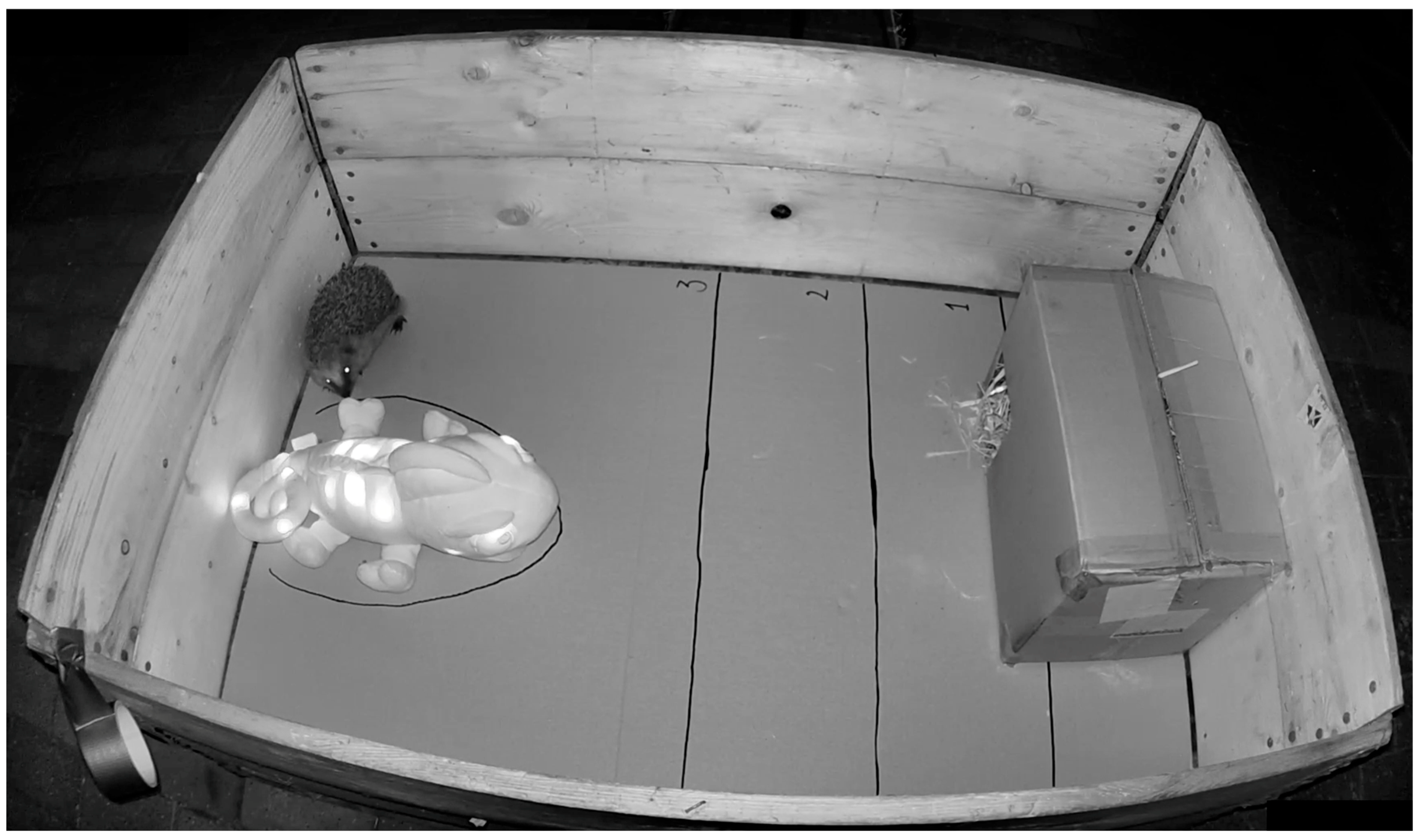 Animals 14 00002 g002