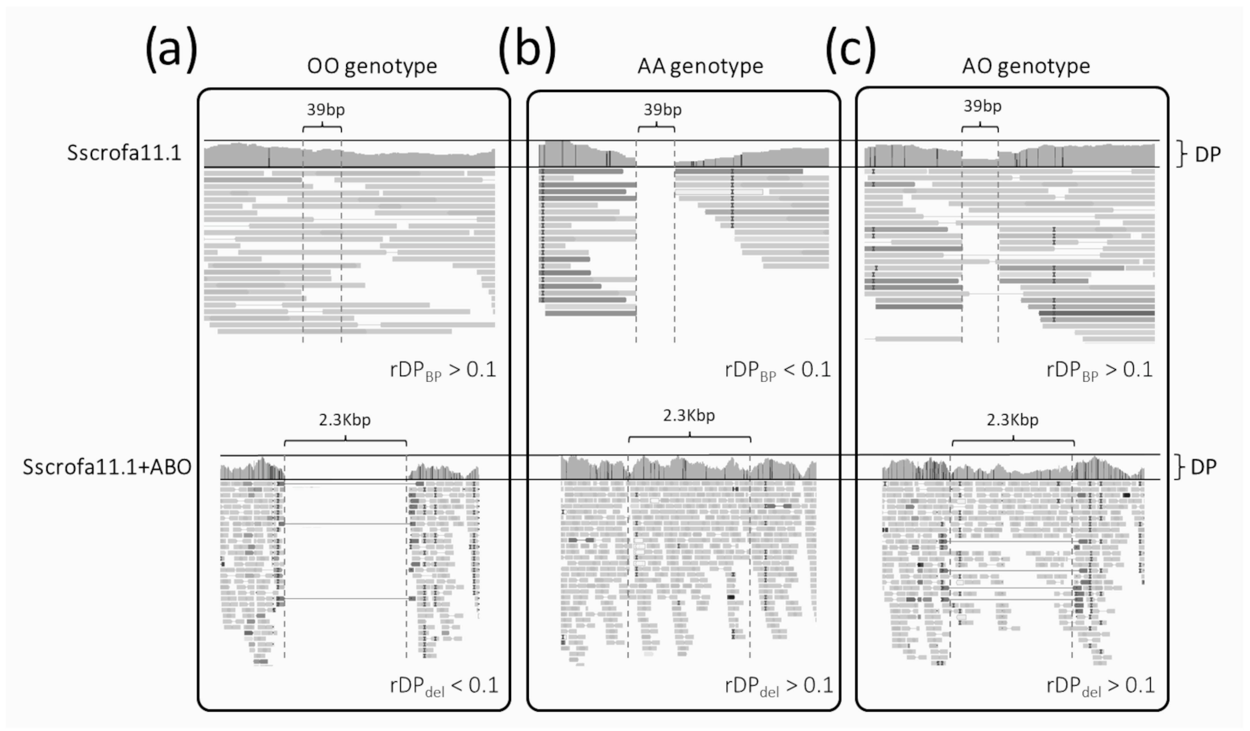 Animals 14 00005 g001