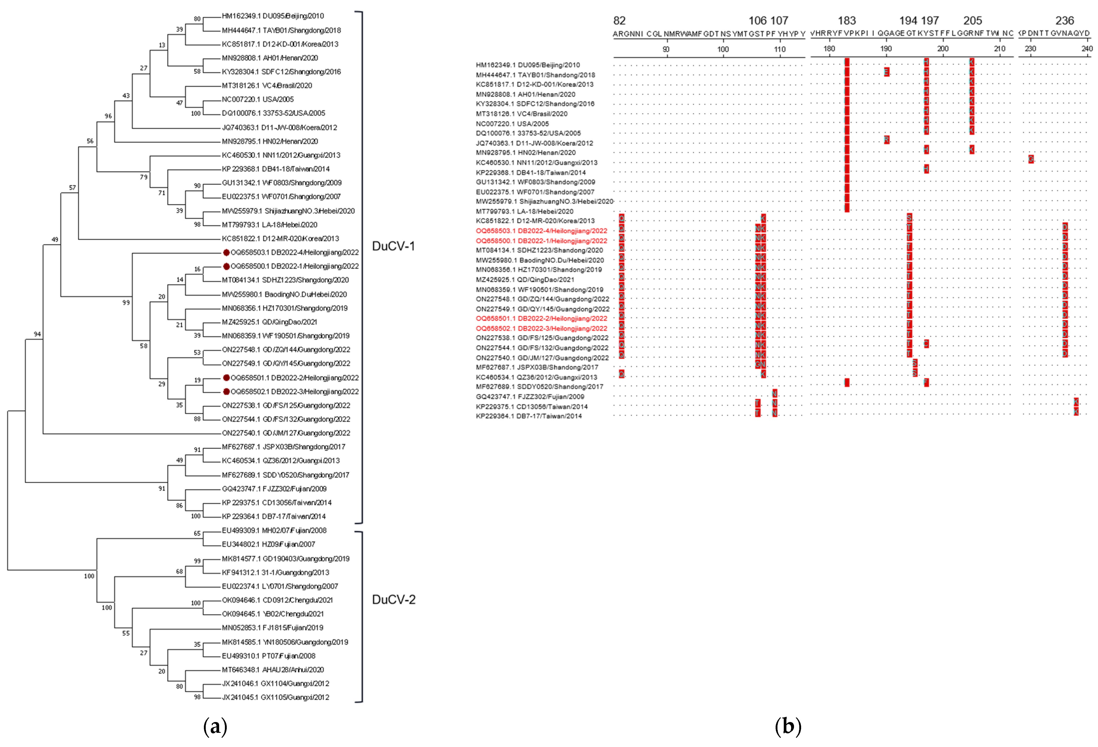 Animals 14 00006 g003 Animals 14 00006 g003