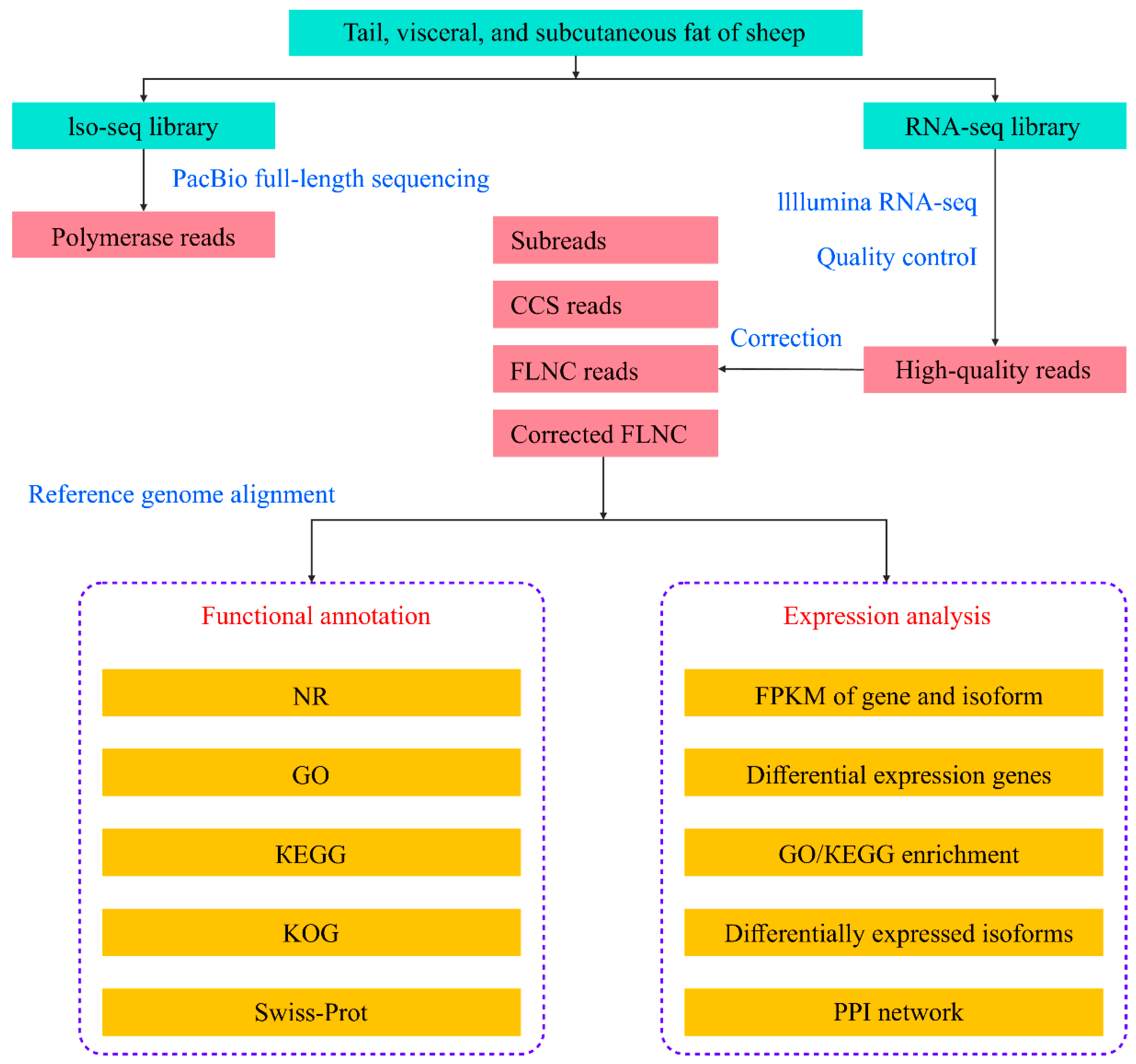 Animals 14 00007 g001