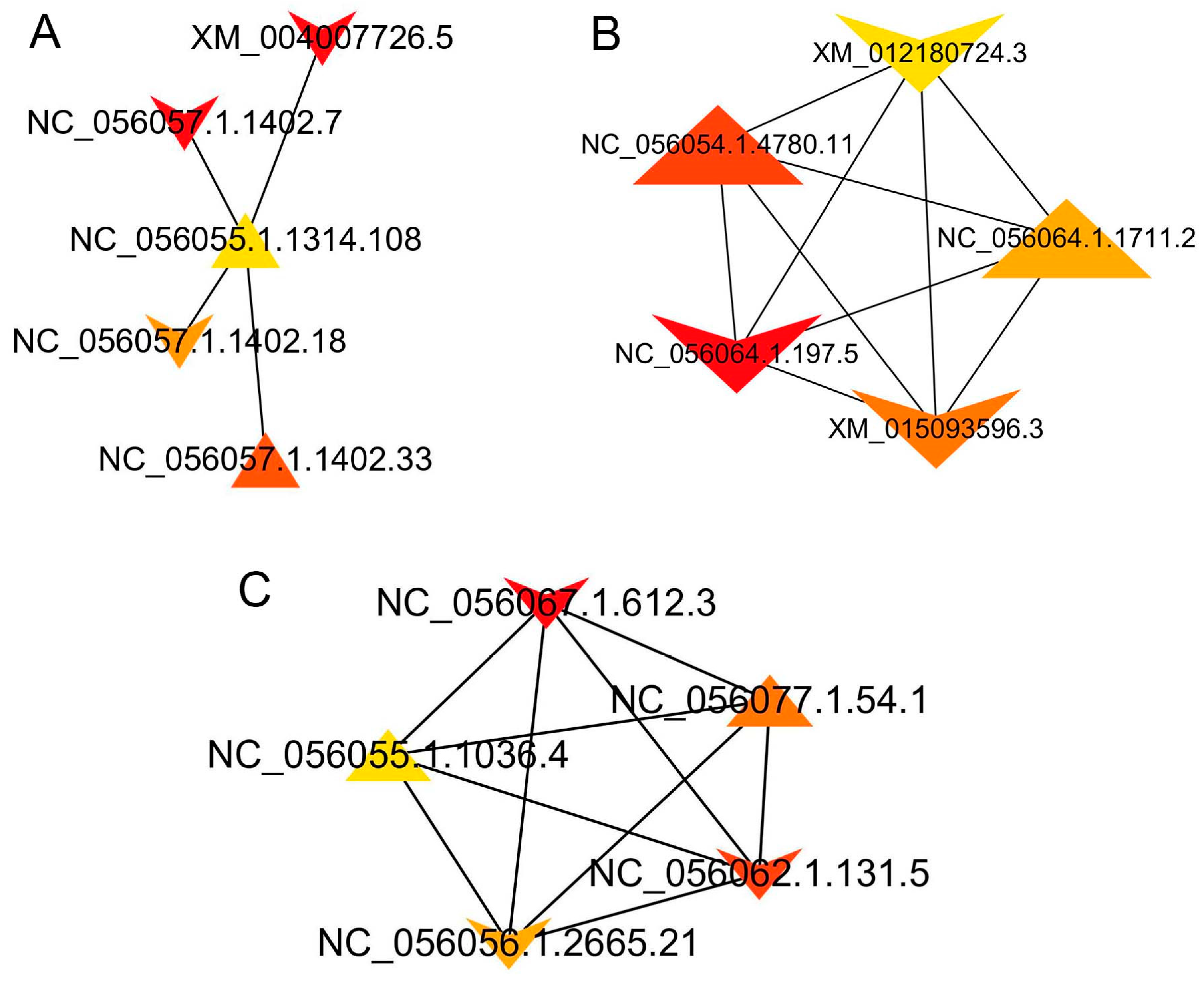 Animals 14 00007 g006