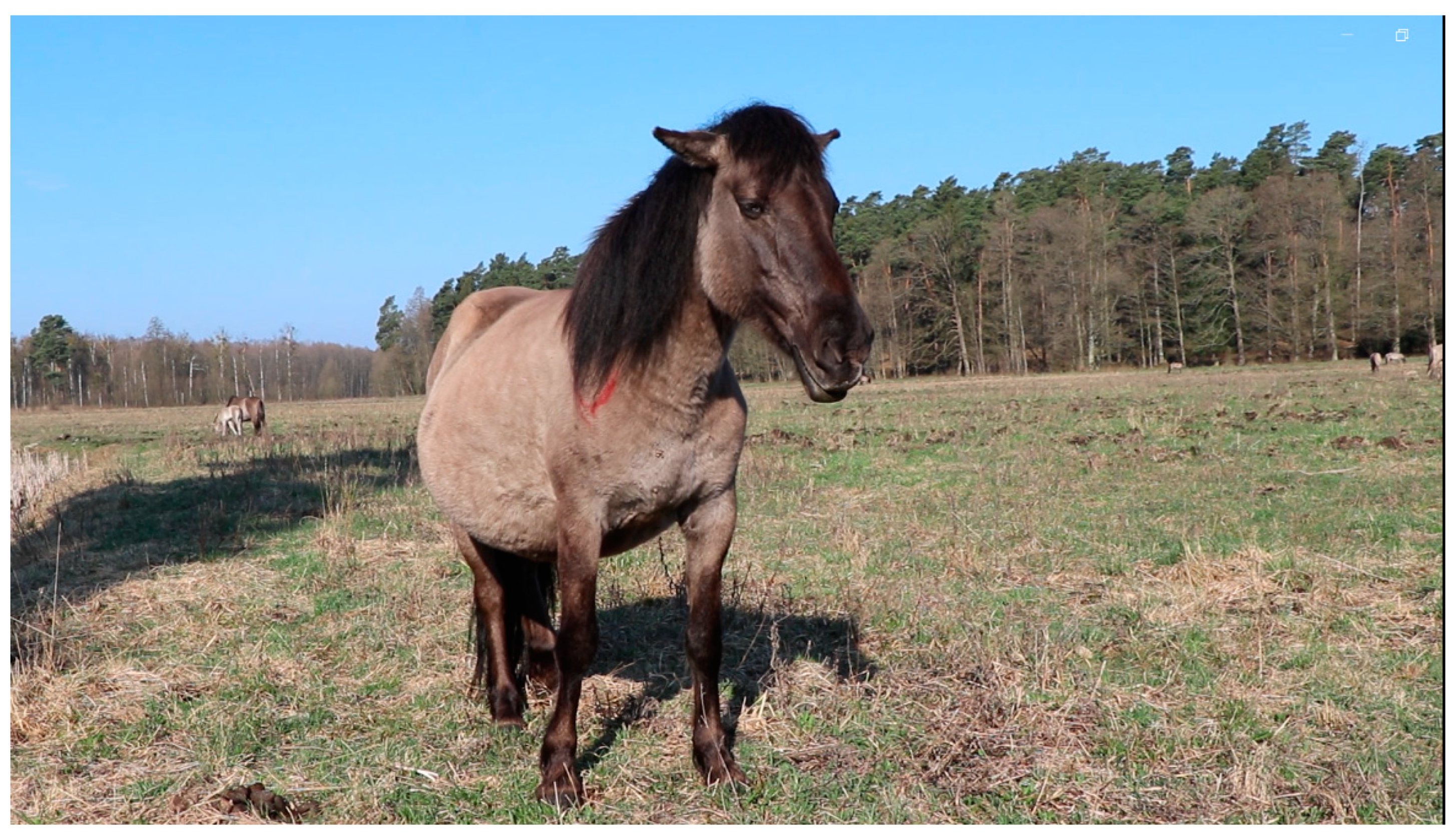 Animals 14 00008 g003