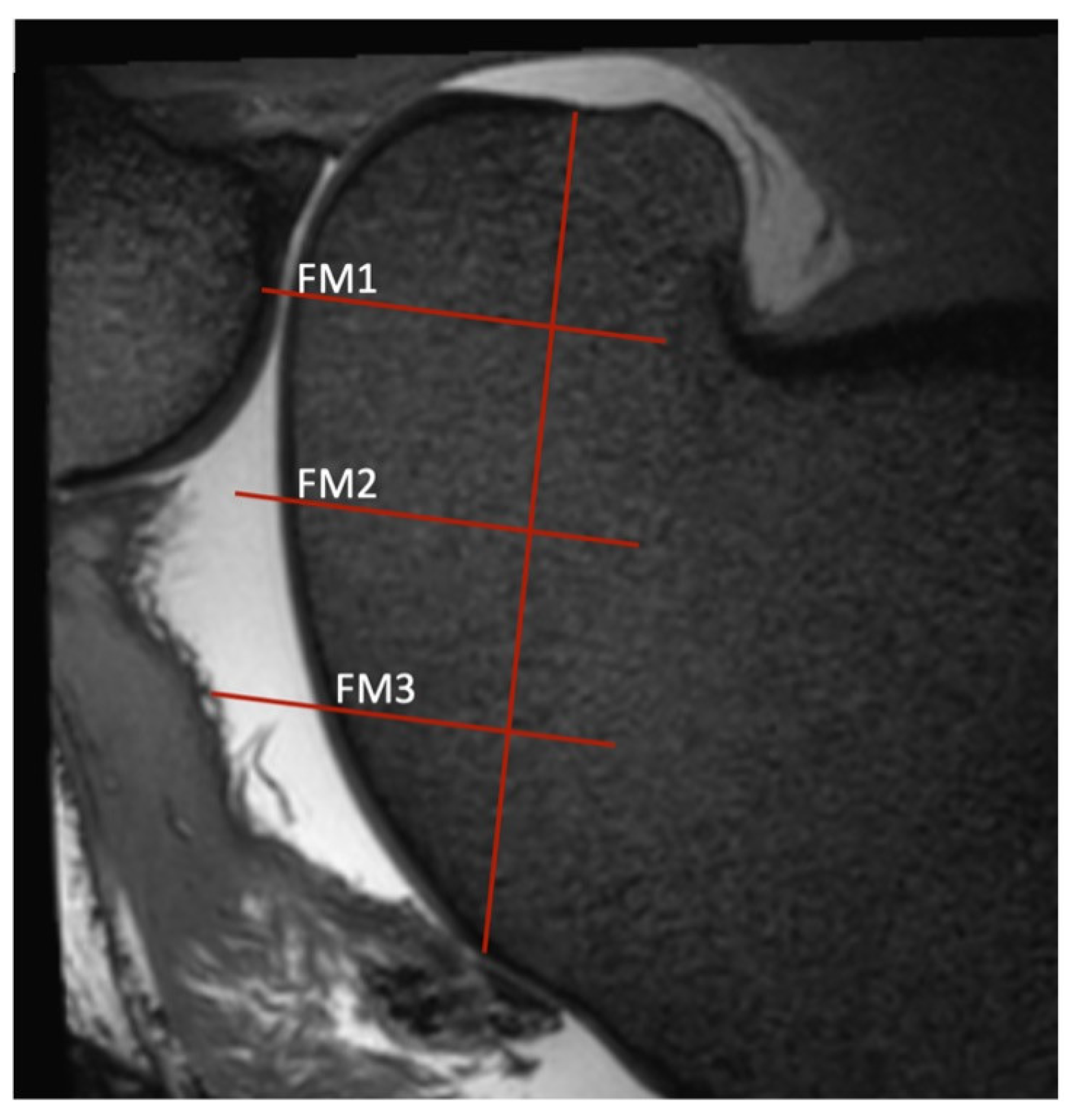 Animals 14 00015 g002