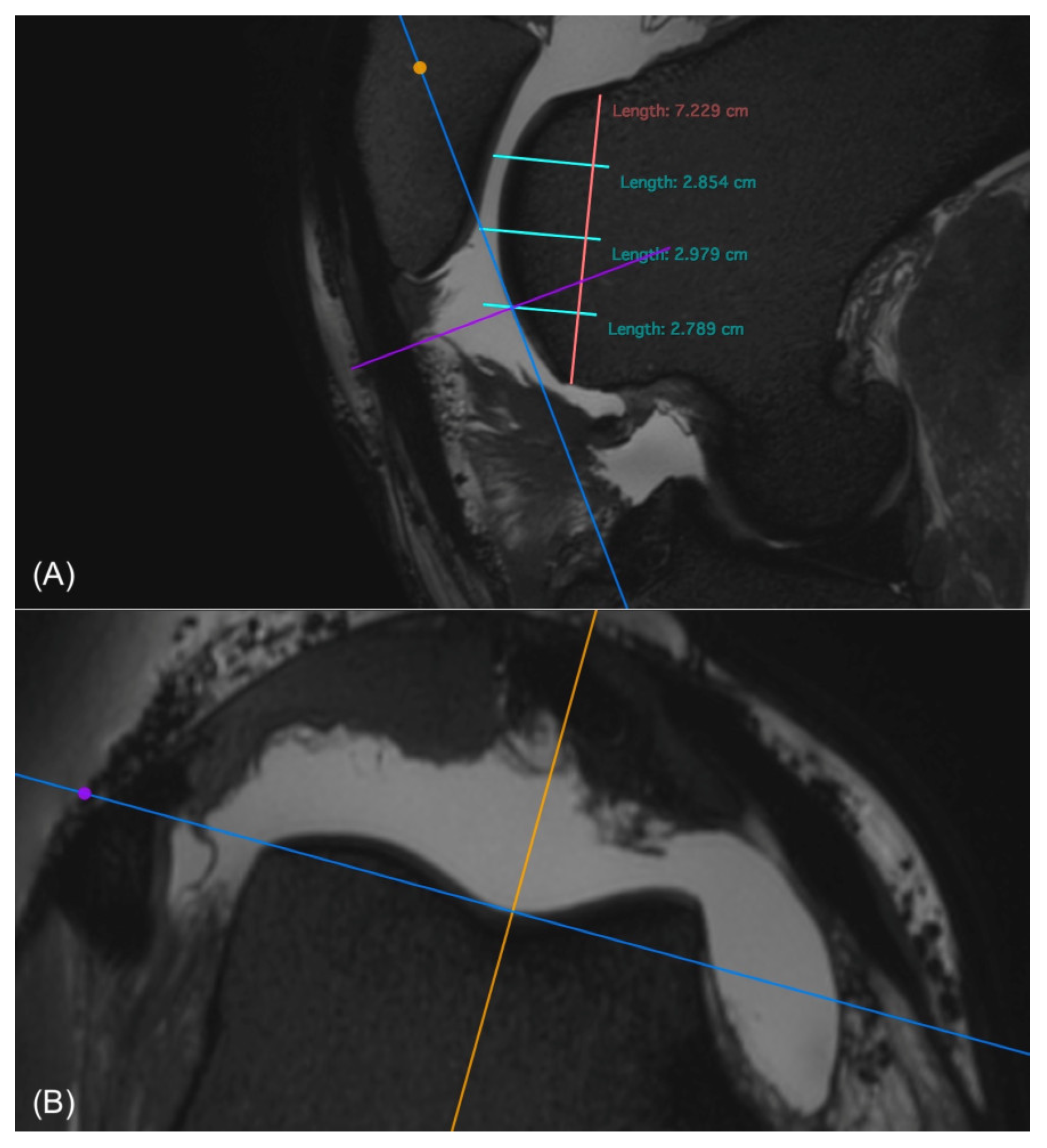 Animals 14 00015 g003