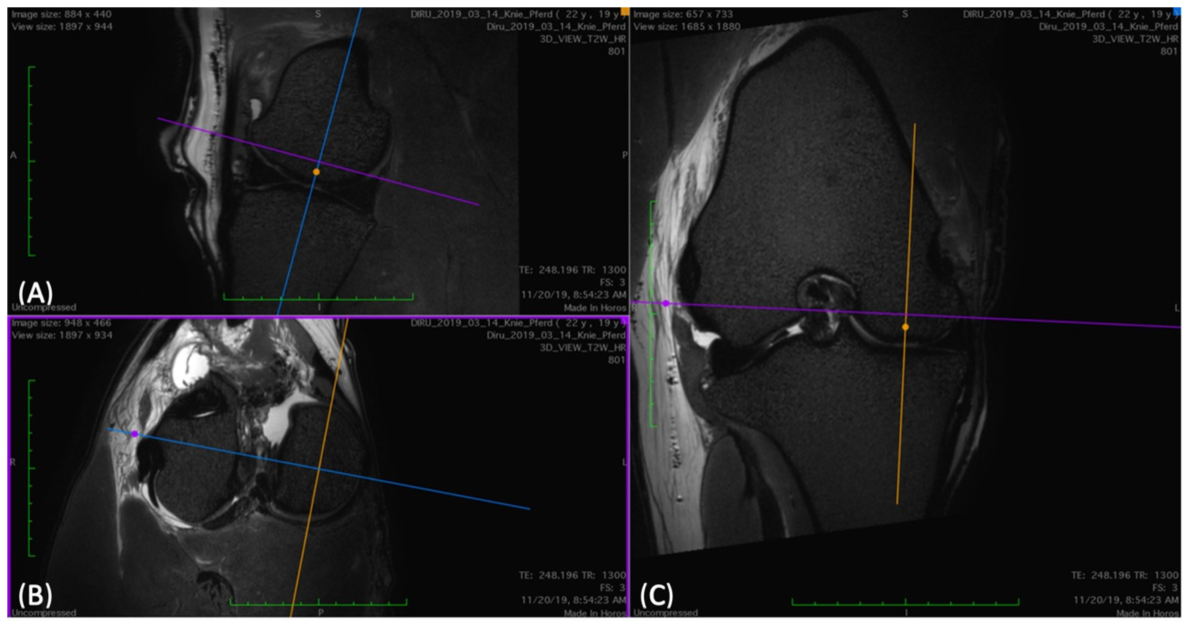 Animals 14 00015 g005