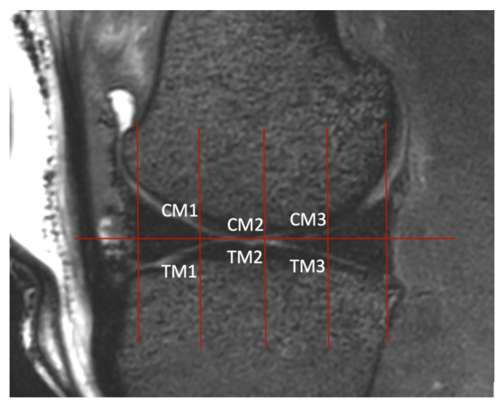 Animals 14 00015 g006
