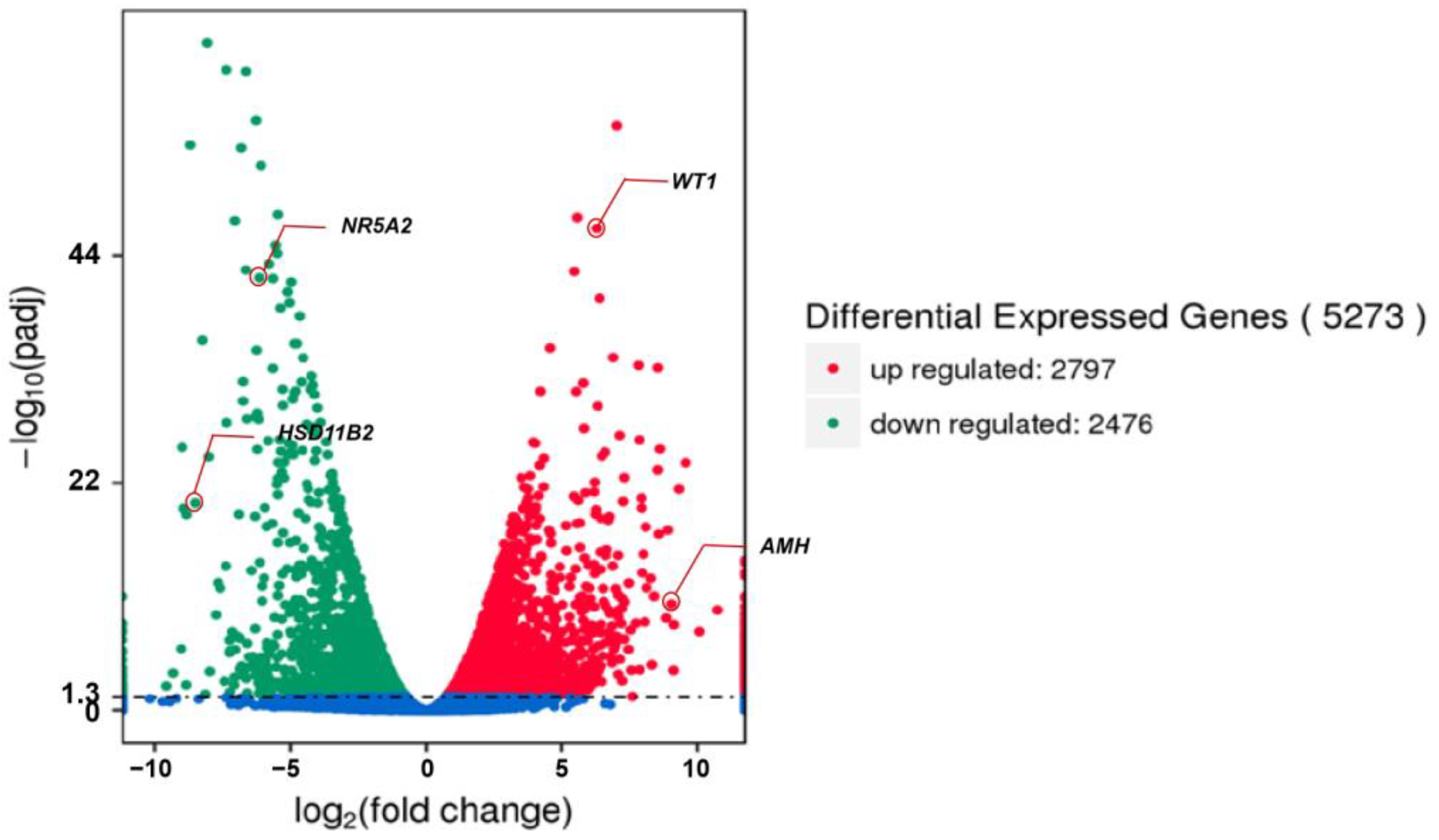 Animals 14 00020 g003