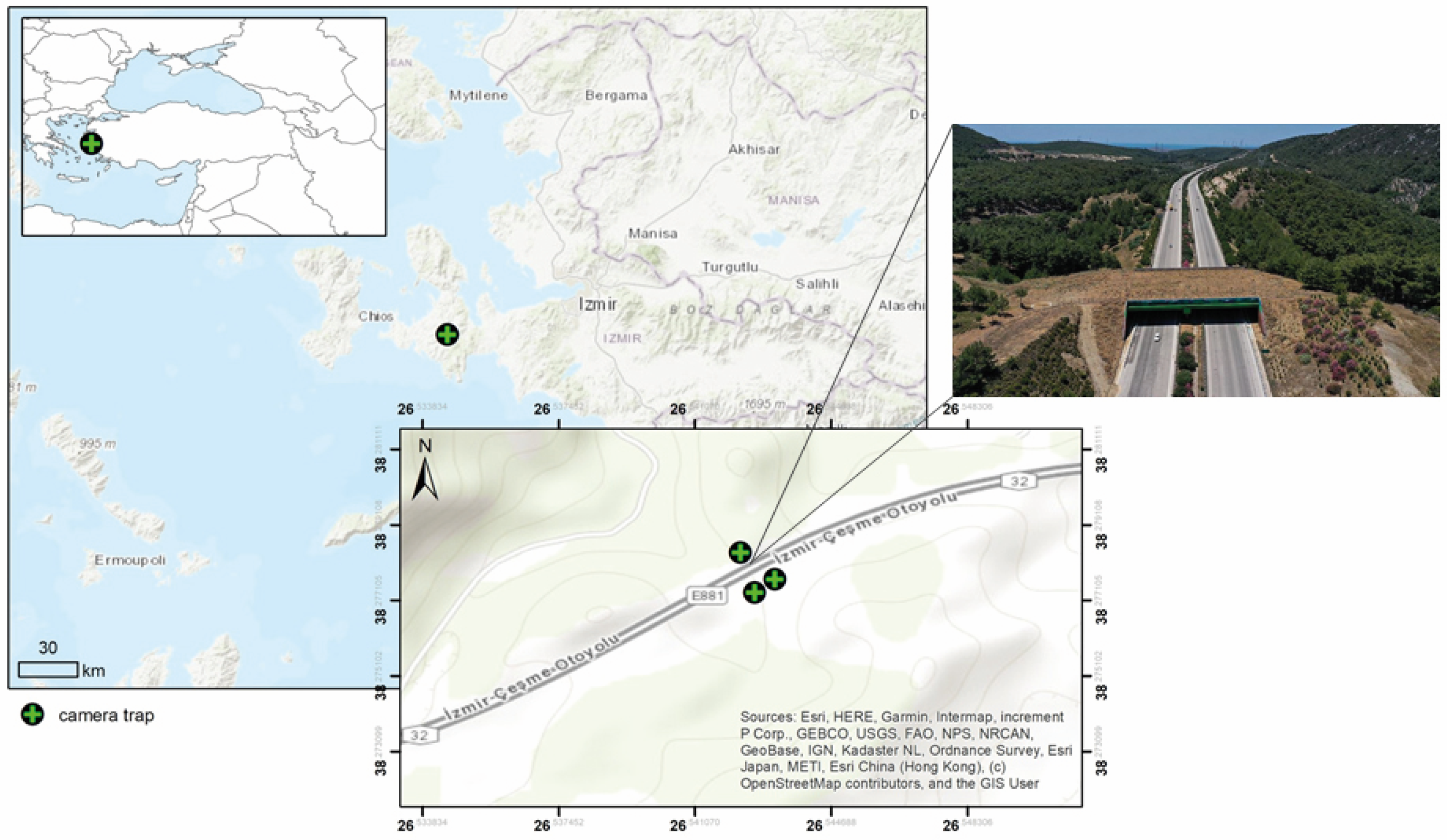 Animals 14 00030 g001