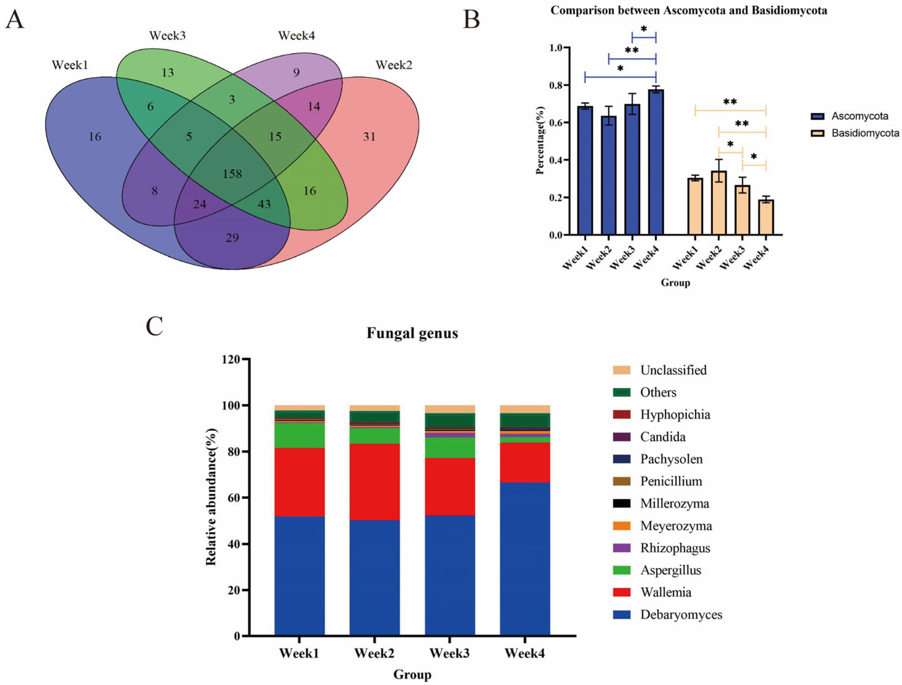 Animals 14 00055 g004