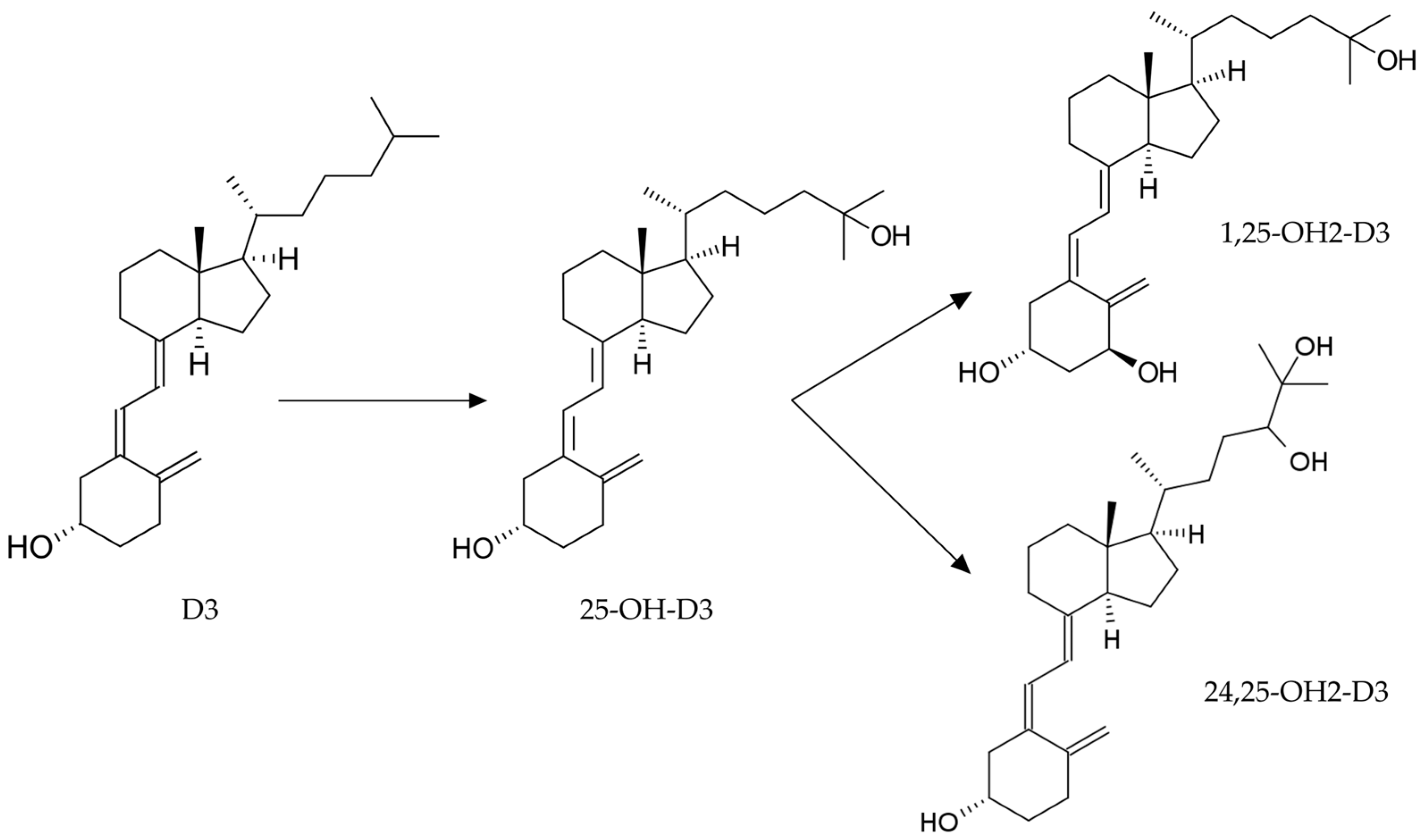 Animals 14 00062 g001