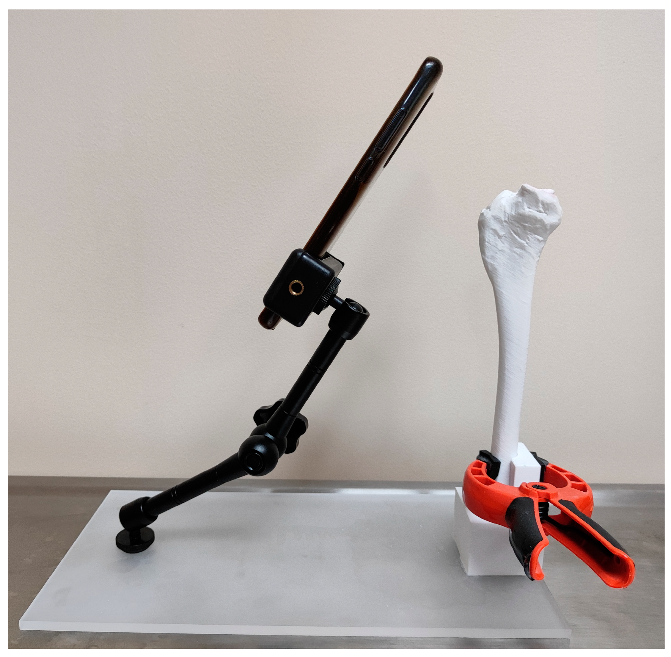 Animals 14 00065 g002