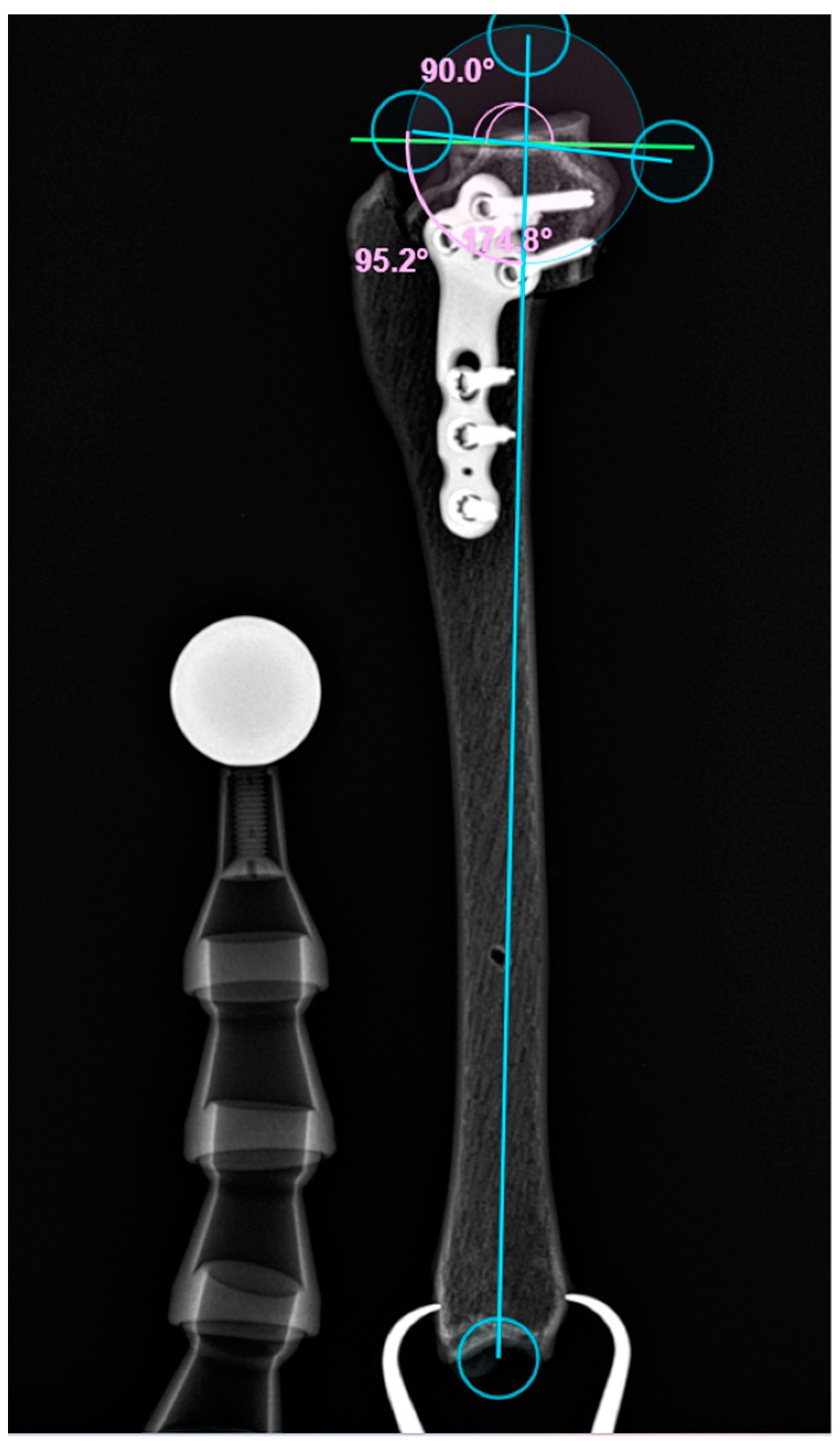 Animals 14 00065 g005