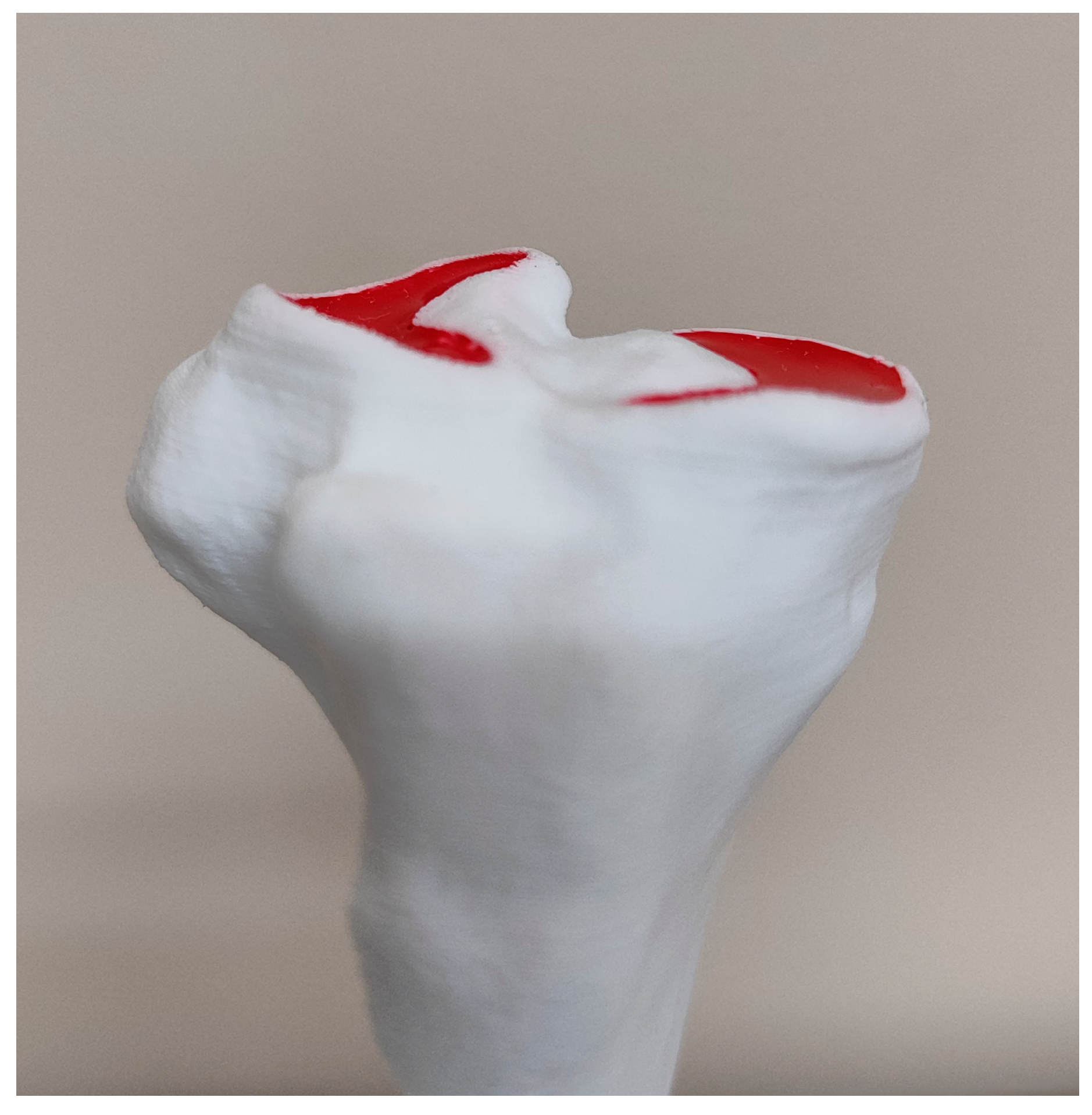 Animals 14 00065 g006