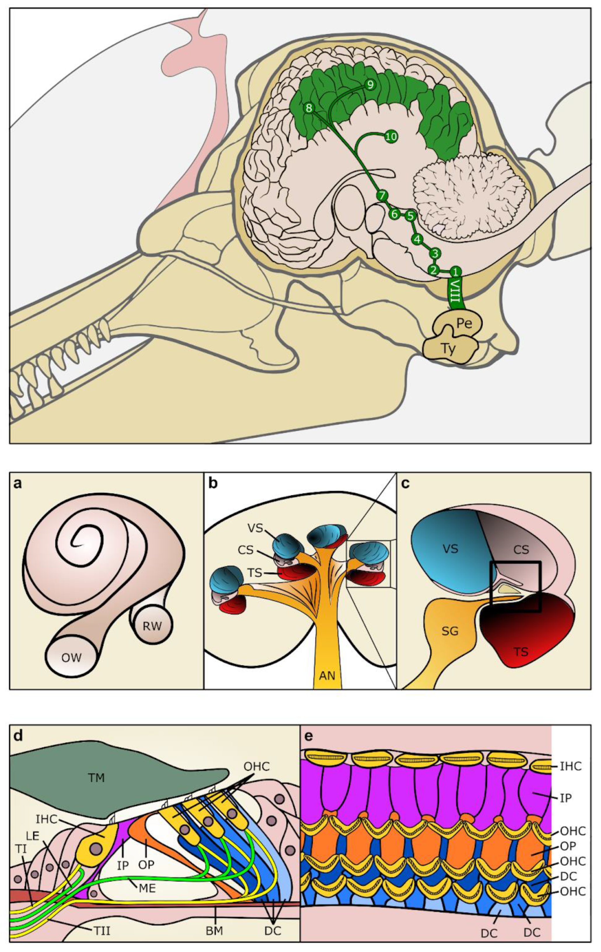 Animals 14 00066 g002 Animals 14 00066 g002