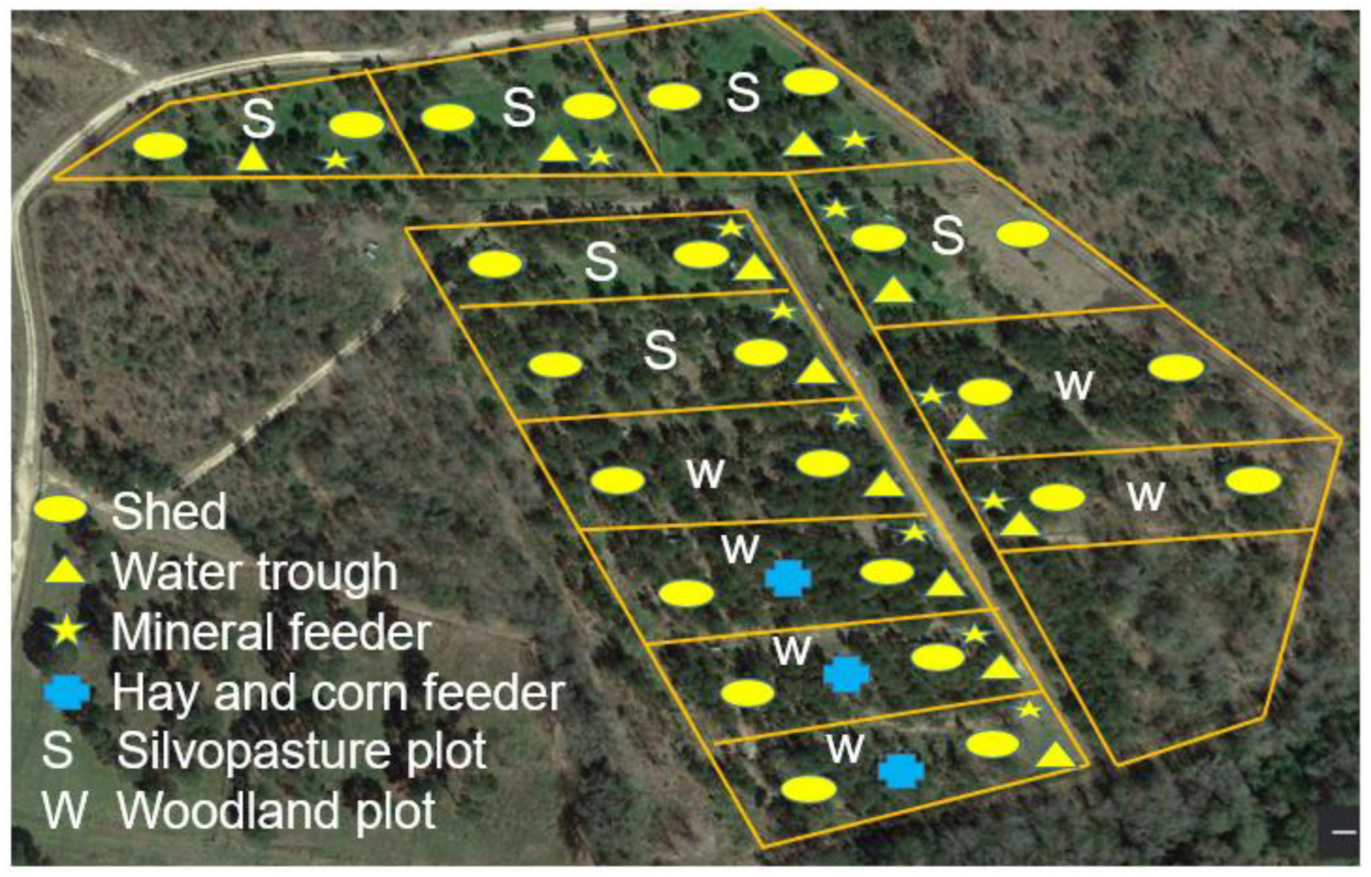 Animals 14 00068 g001