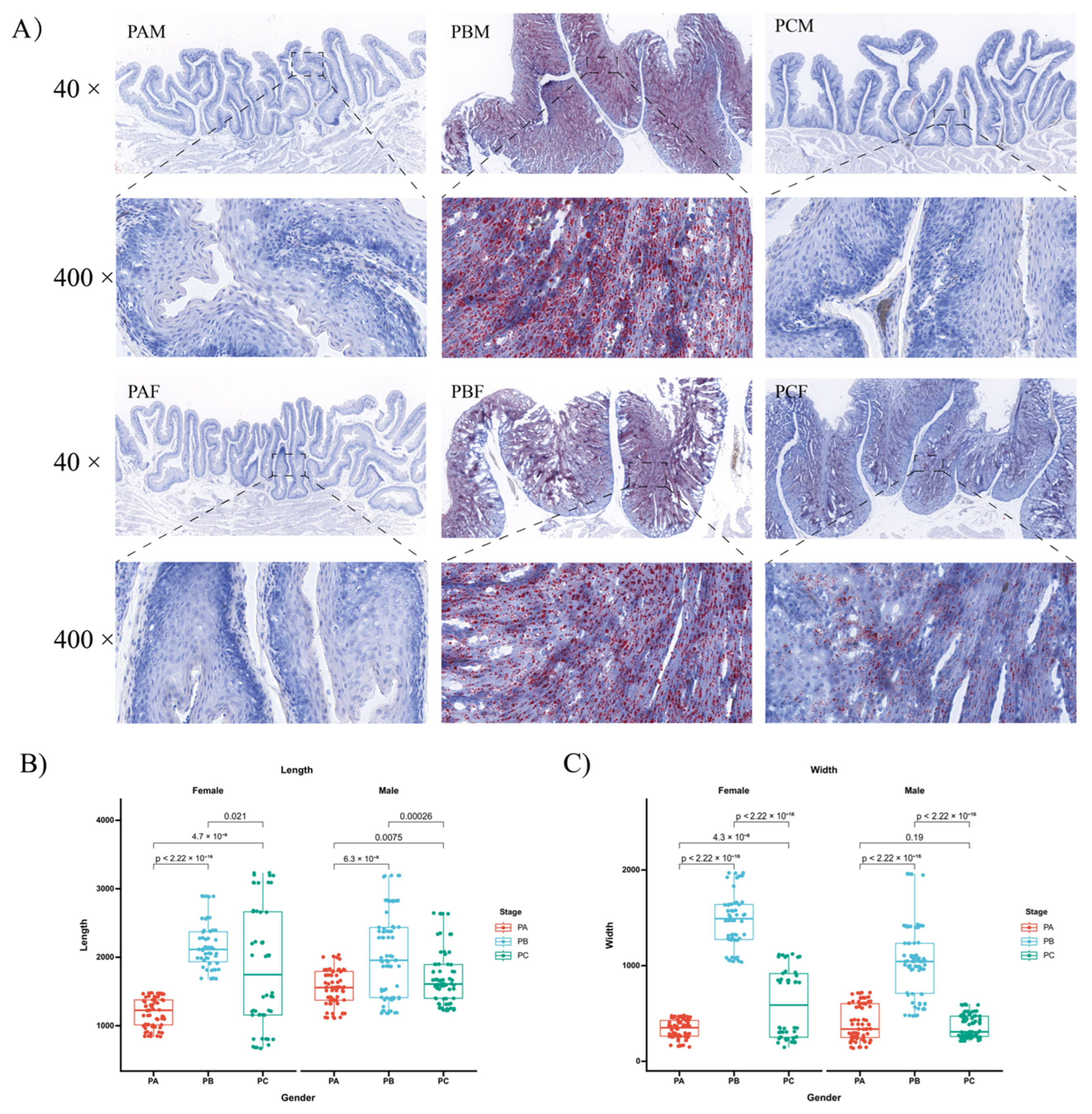 Animals 14 00075 g001